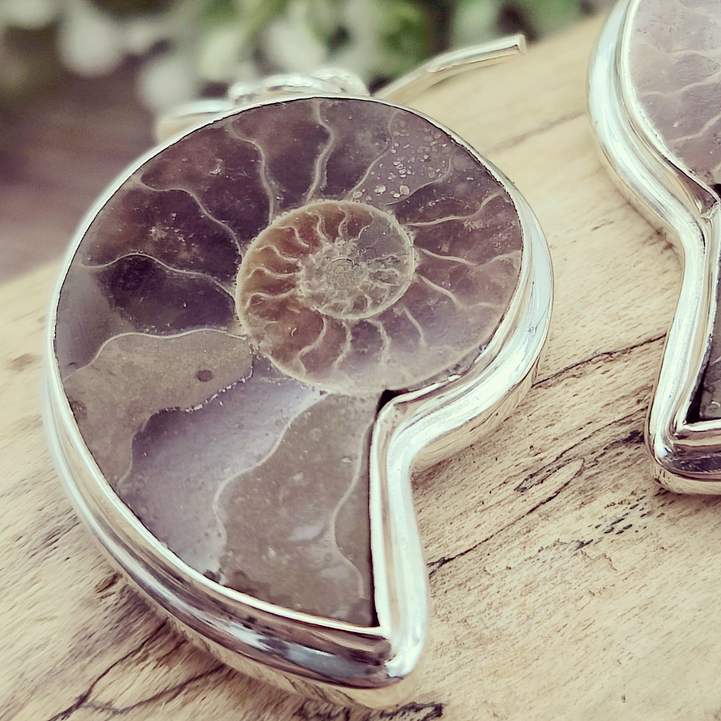 Hepburn and Hughes Madagascan Ammonite Earrings | Limited Edition | 3 Styles | Sterling silver