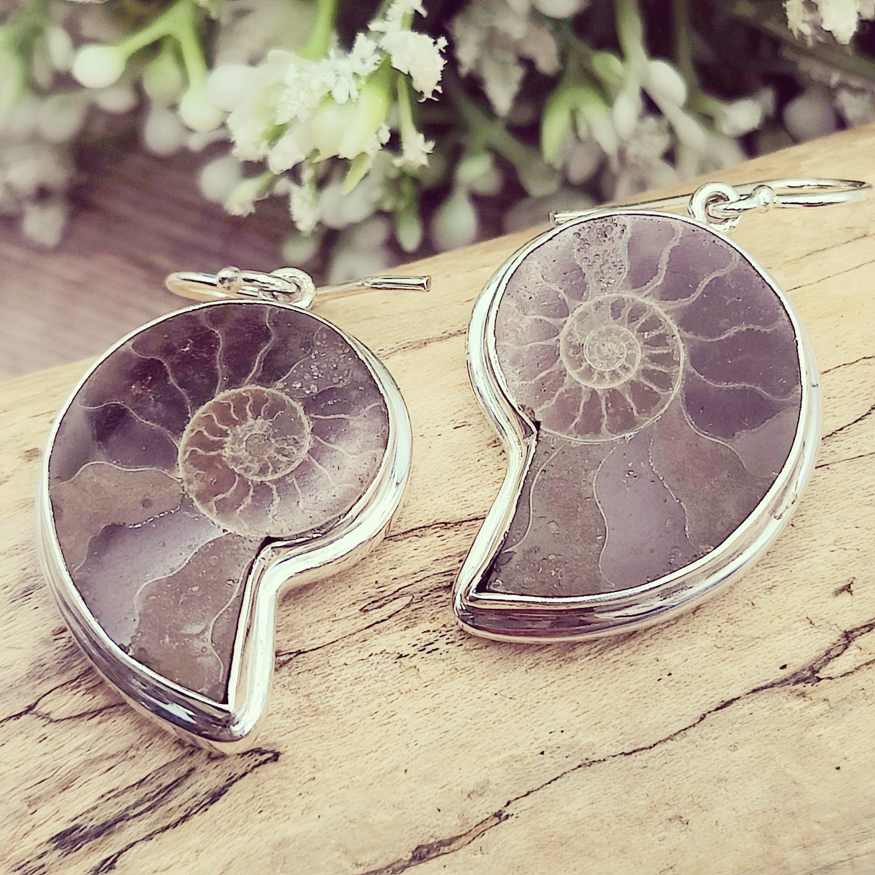 Hepburn and Hughes Madagascan Ammonite Earrings | Limited Edition | 3 Styles | Sterling silver