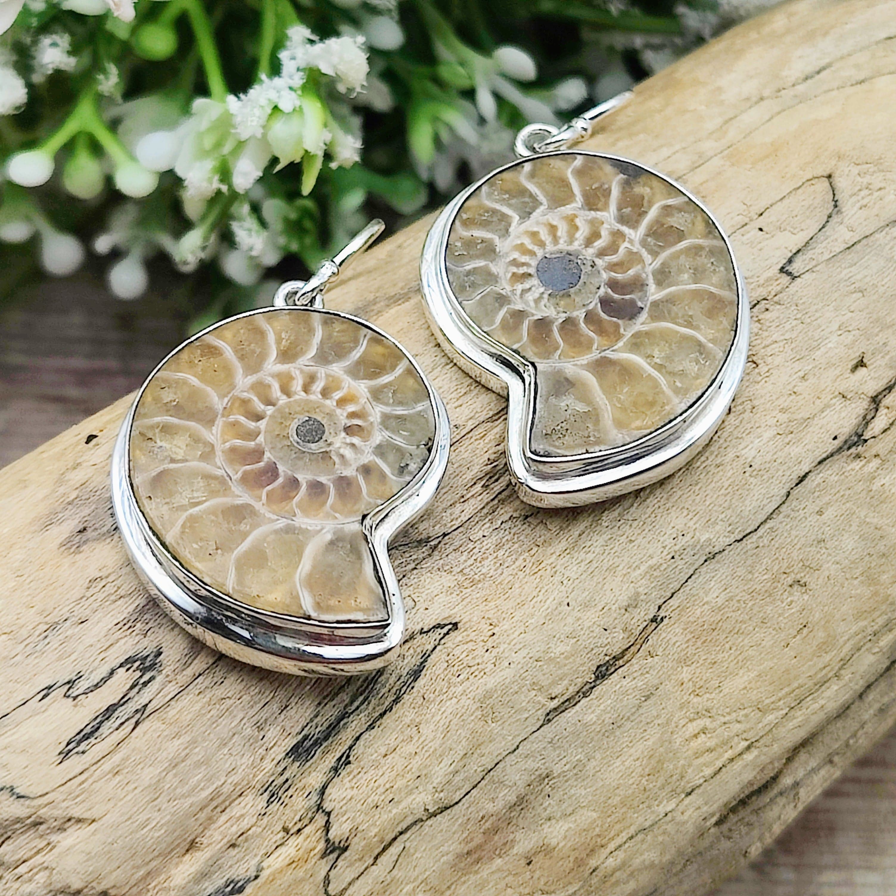 Hepburn and Hughes Madagascan Ammonite Earrings | Limited Edition | 3 Styles | Sterling silver