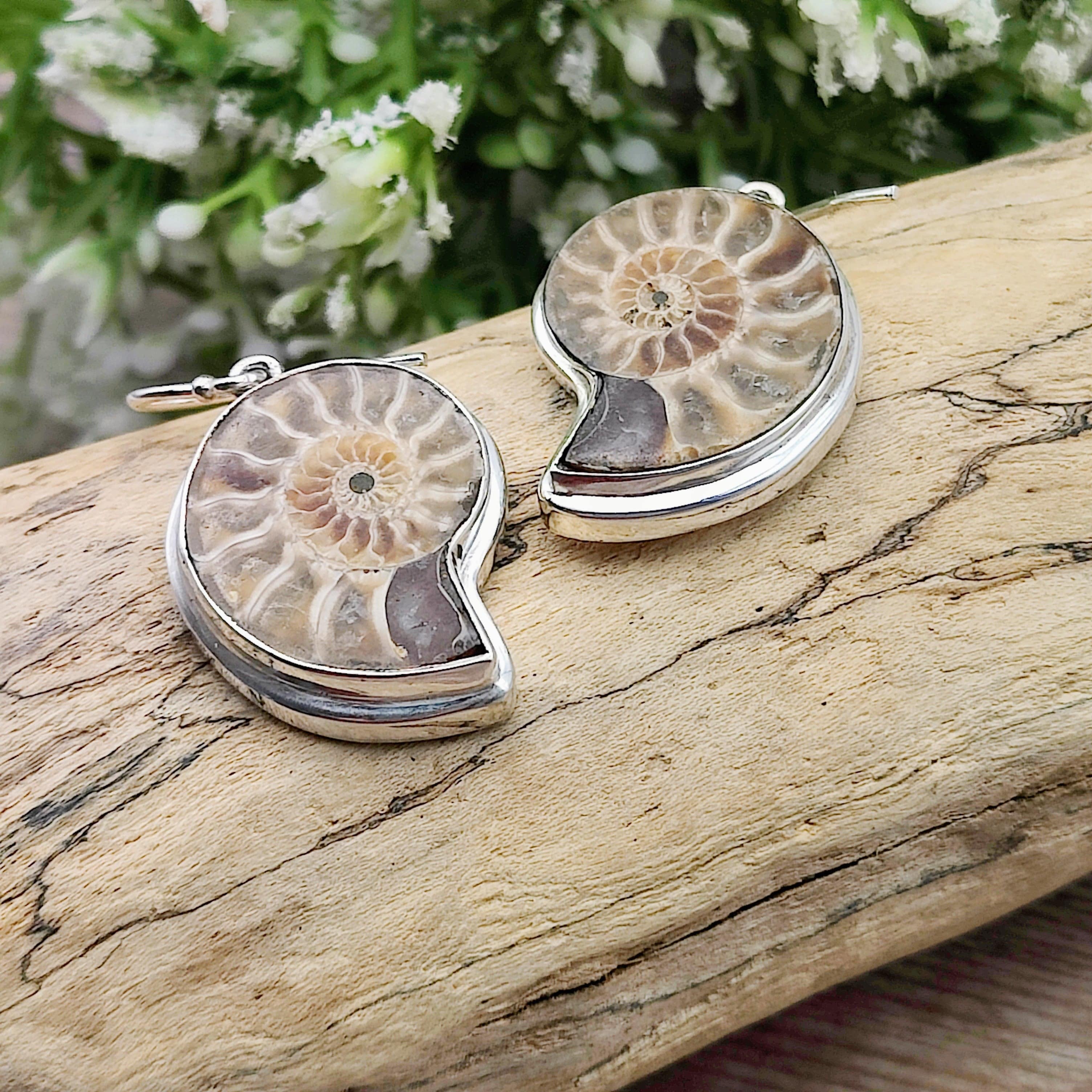 Hepburn and Hughes Madagascan Ammonite Earrings | Limited Edition | 3 Styles | Sterling silver