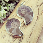 Hepburn and Hughes Madagascan Ammonite Earrings | Limited Edition | 3 Styles | Sterling silver