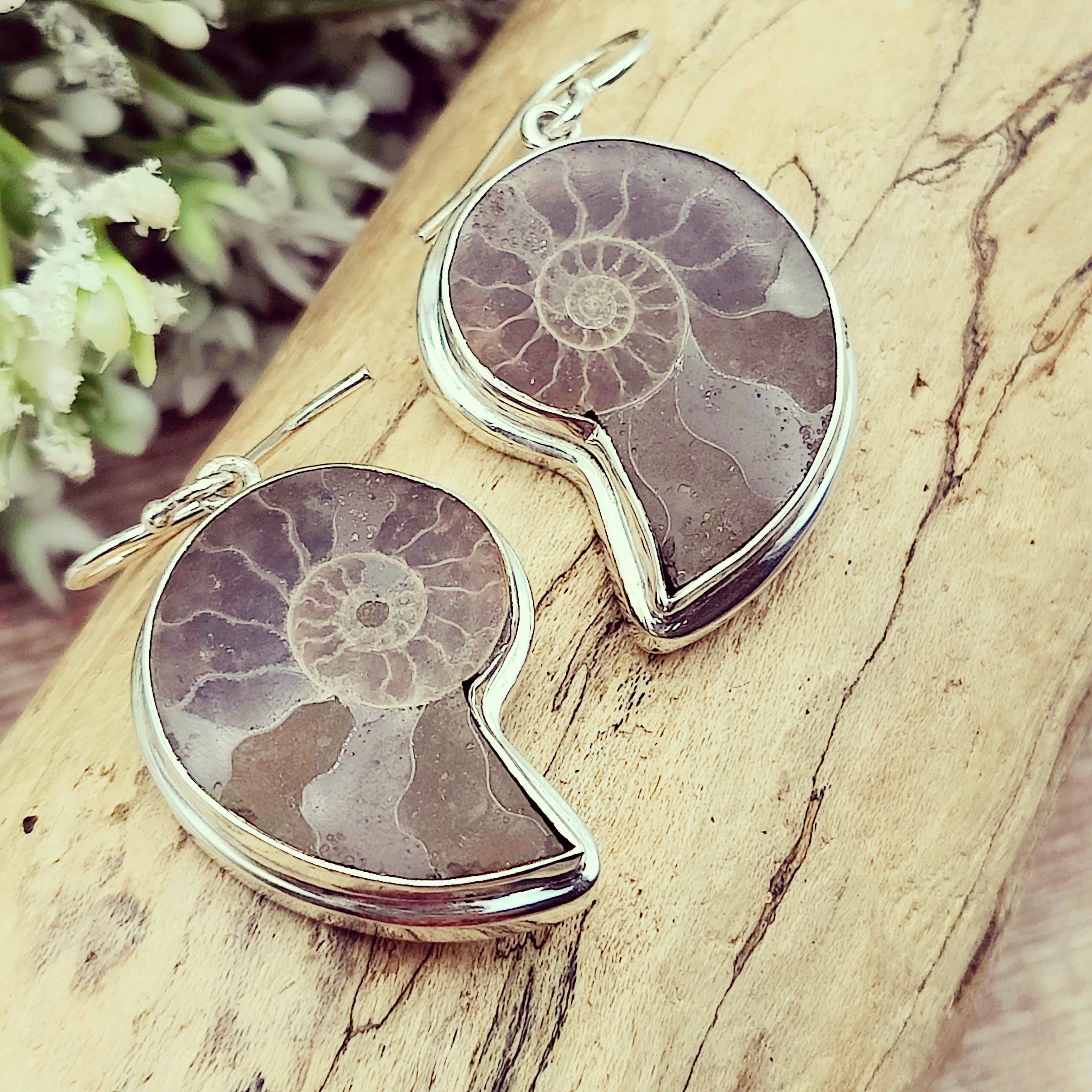 Hepburn and Hughes Madagascan Ammonite Earrings | Limited Edition | 3 Styles | Sterling silver
