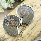 Hepburn and Hughes Madagascan Ammonite Earrings | Limited Edition | 30mm length | Sterling silver