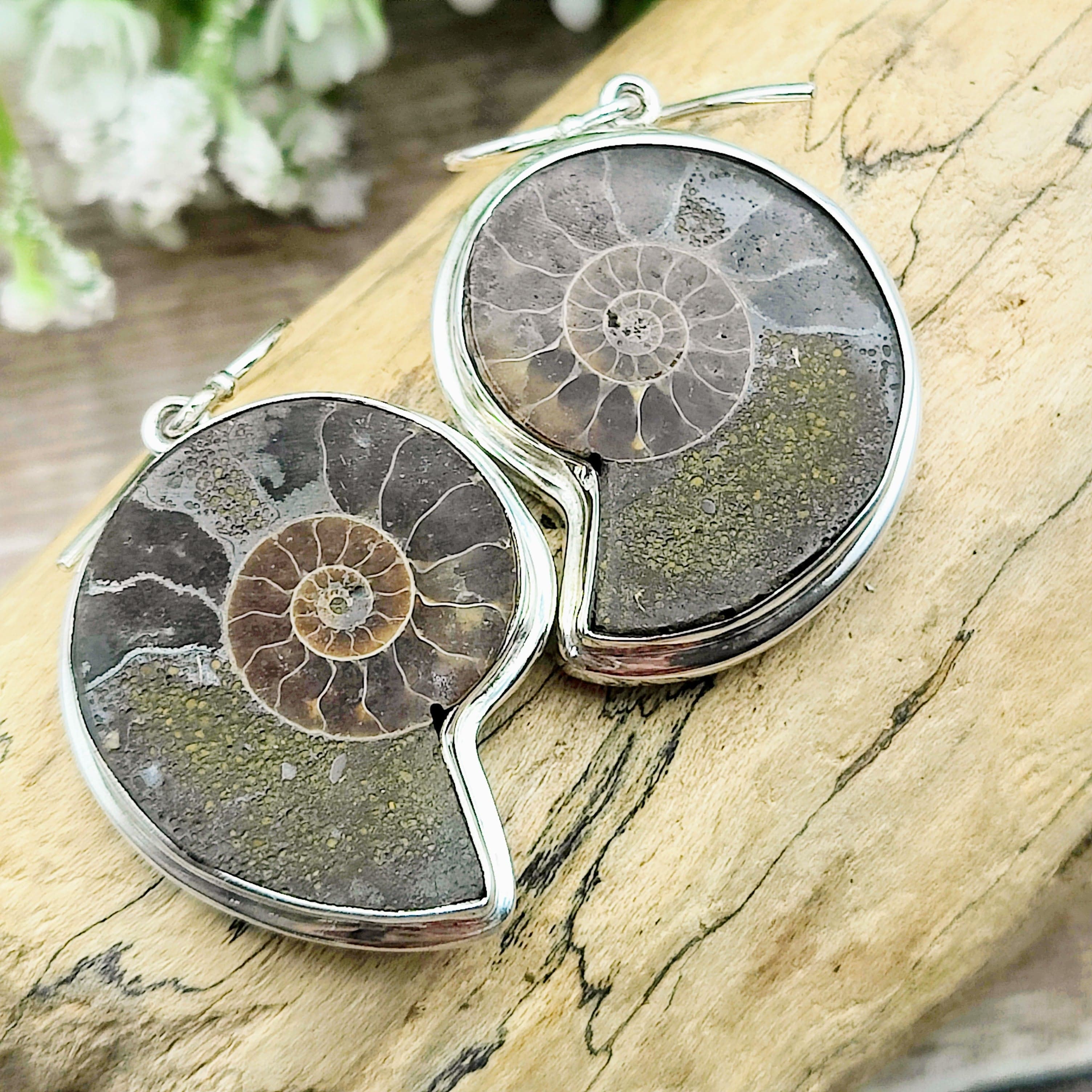 Hepburn and Hughes Madagascan Ammonite Earrings | Limited Edition | 30mm length | Sterling silver