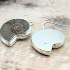 Hepburn and Hughes Madagascan Ammonite Earrings | Limited Edition | 30mm length | Sterling silver