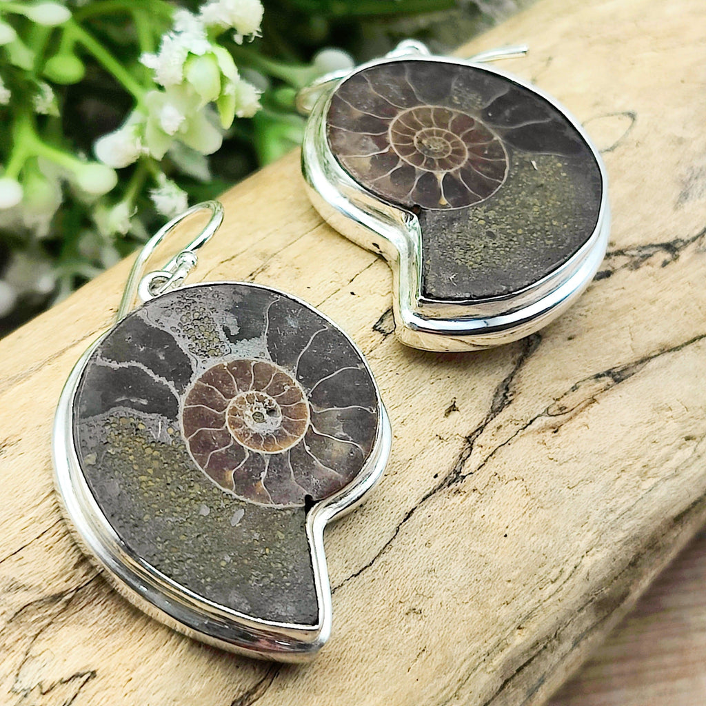 Hepburn and Hughes Madagascan Ammonite Earrings | Limited Edition | 30mm length | Sterling silver