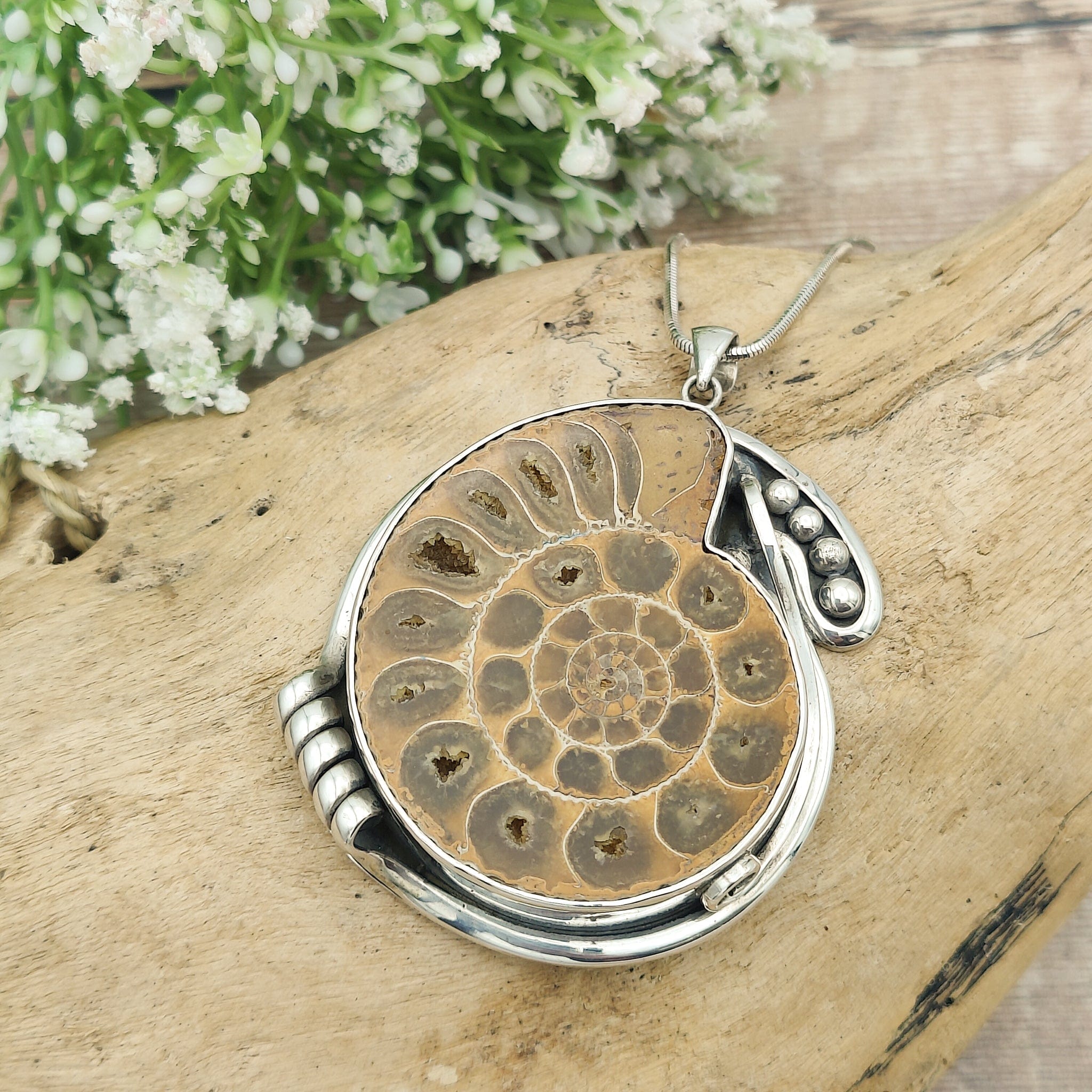 Hepburn and Hughes Madagascan Ammonite Pendant | 60mm Fossil | Ornate Setting | Sterling Silver