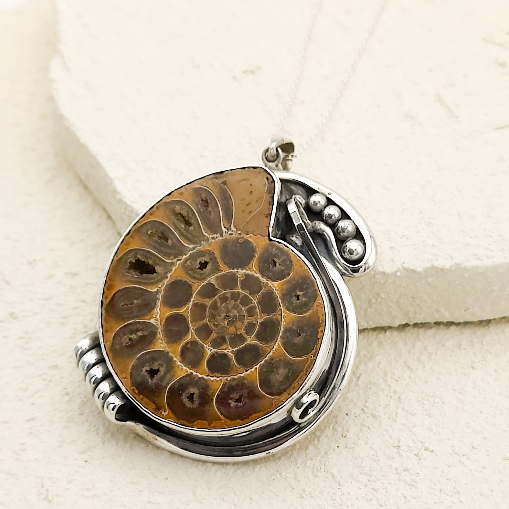 Hepburn and Hughes Madagascan Ammonite Pendant | 60mm Fossil | Ornate Setting | Sterling Silver