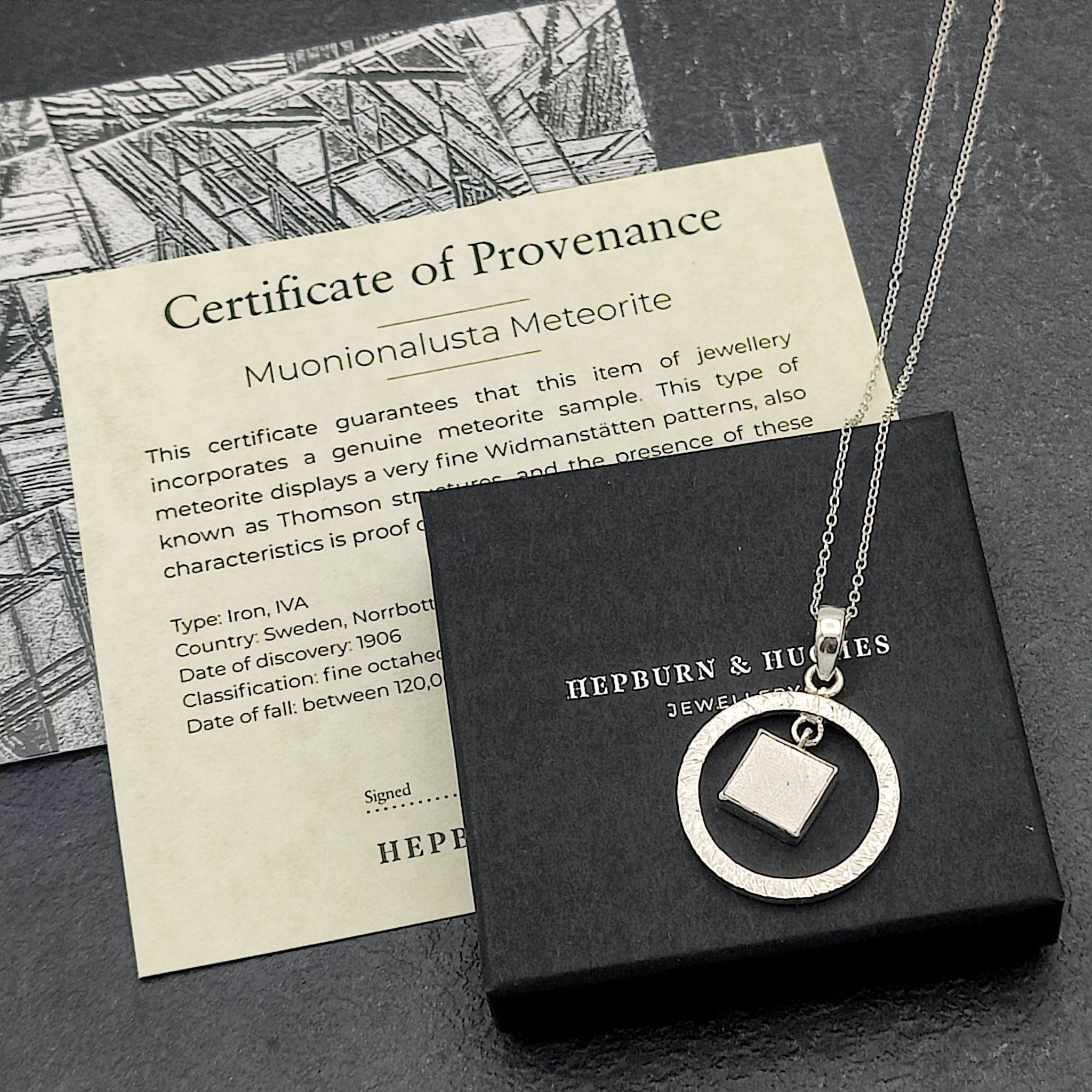 Hepburn and Hughes Meteorite Pendant | Astronomy Gift | Circular Hoop | Sterling Silver