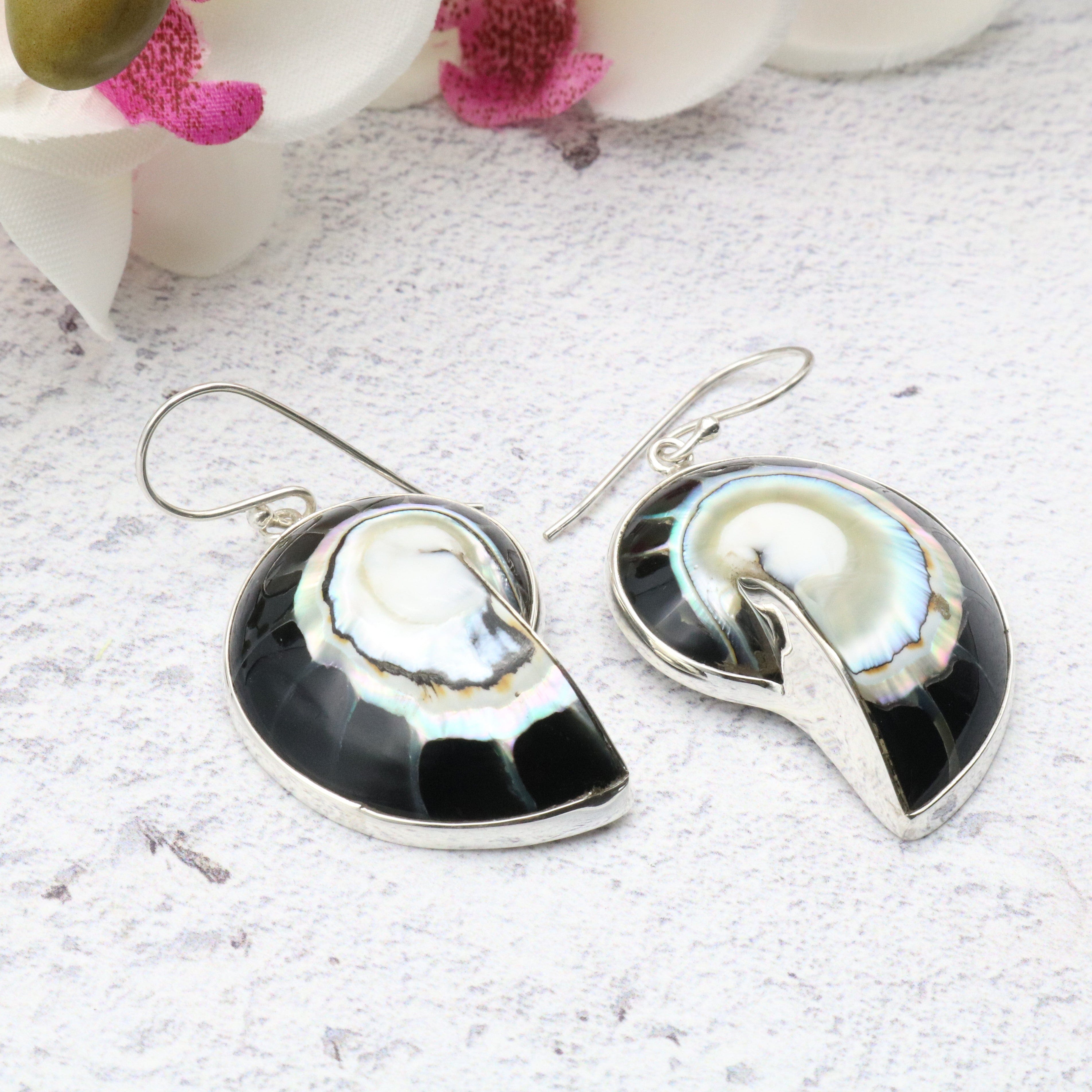 Hepburn and Hughes Nautilus Shell Earrings | Seashell Gift | 35mm | Sterling Silver