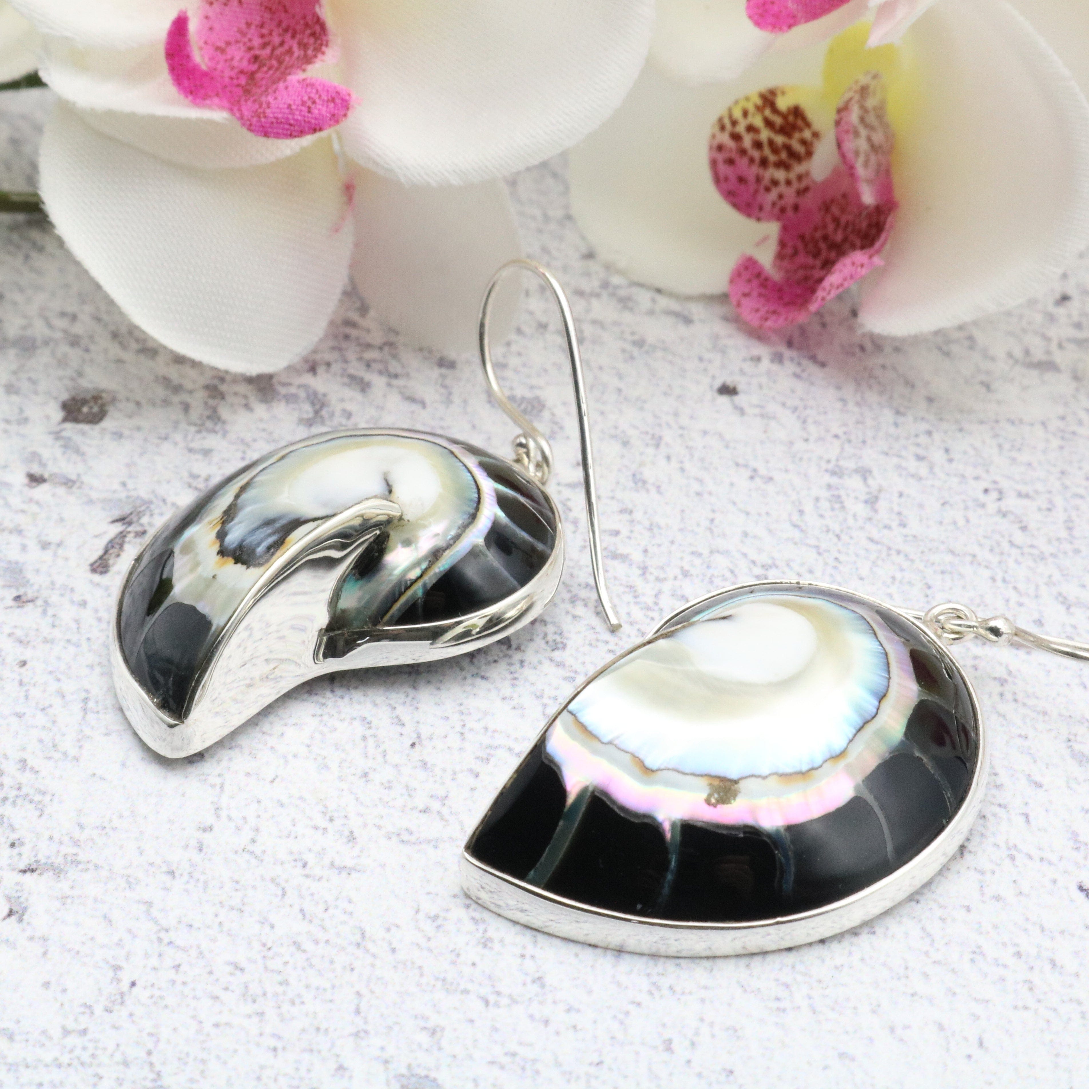 Hepburn and Hughes Nautilus Shell Earrings | Seashell Gift | 35mm | Sterling Silver