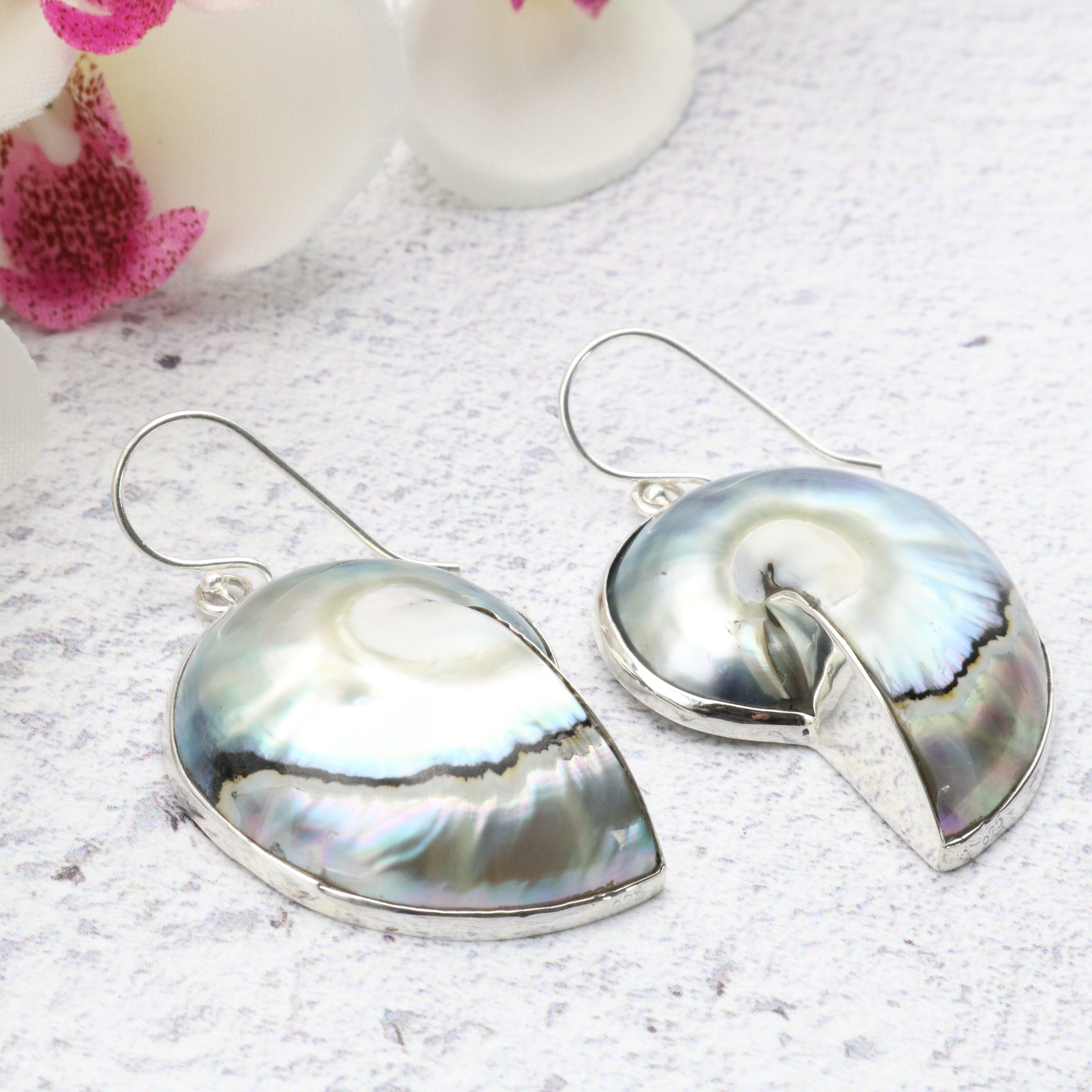 Hepburn and Hughes Nautilus Shell Earrings | Seashell Gift | 35mm | Sterling Silver