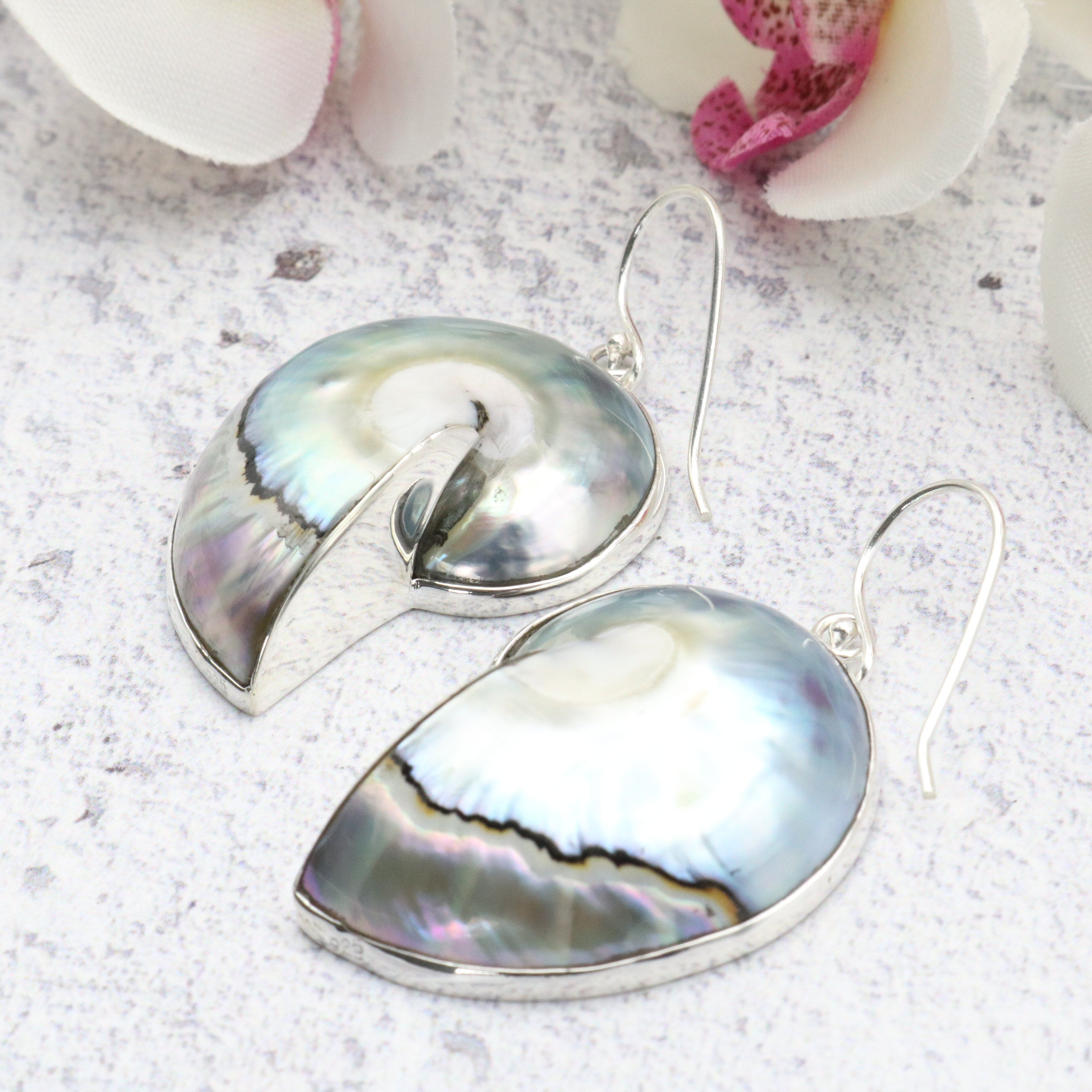 Hepburn and Hughes Nautilus Shell Earrings | Seashell Gift | 35mm | Sterling Silver