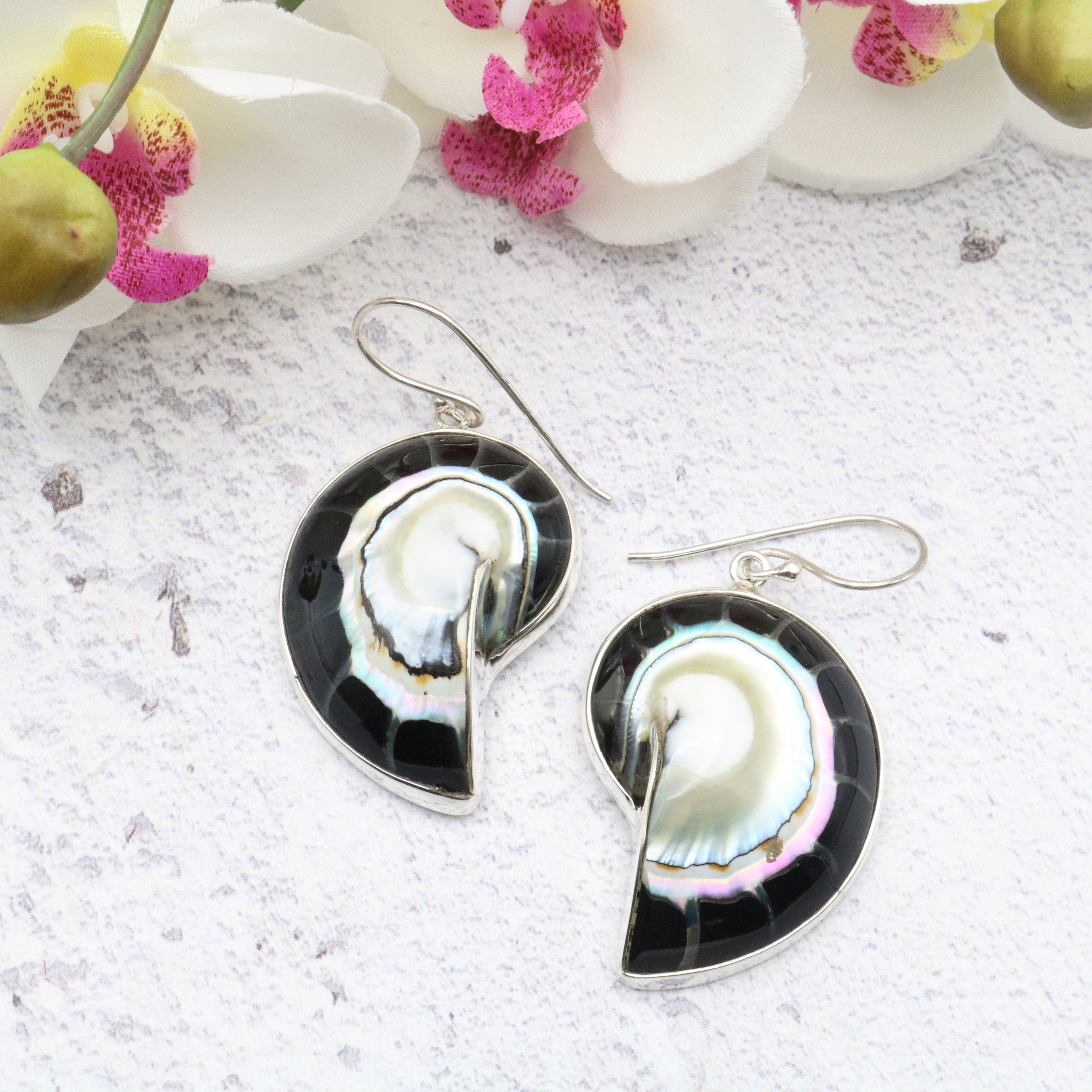 Hepburn and Hughes Nautilus Shell Earrings | Seashell Gift | 35mm | Sterling Silver