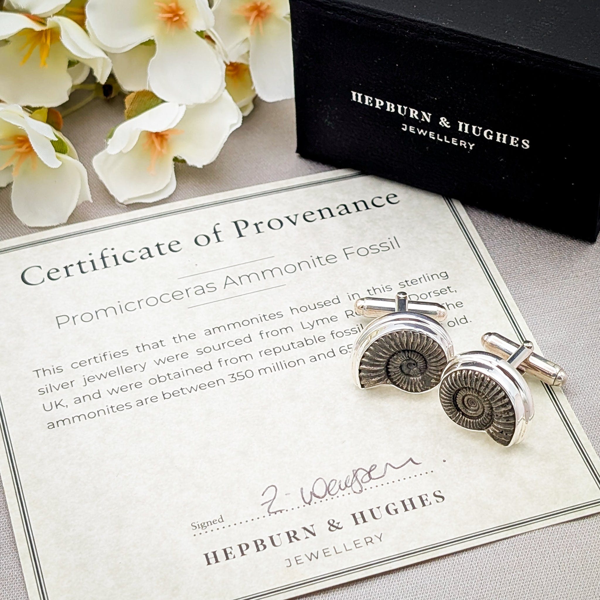 Hepburn and Hughes Promicroceras Ammonite Cufflinks | British Fossils | Sterling Silver