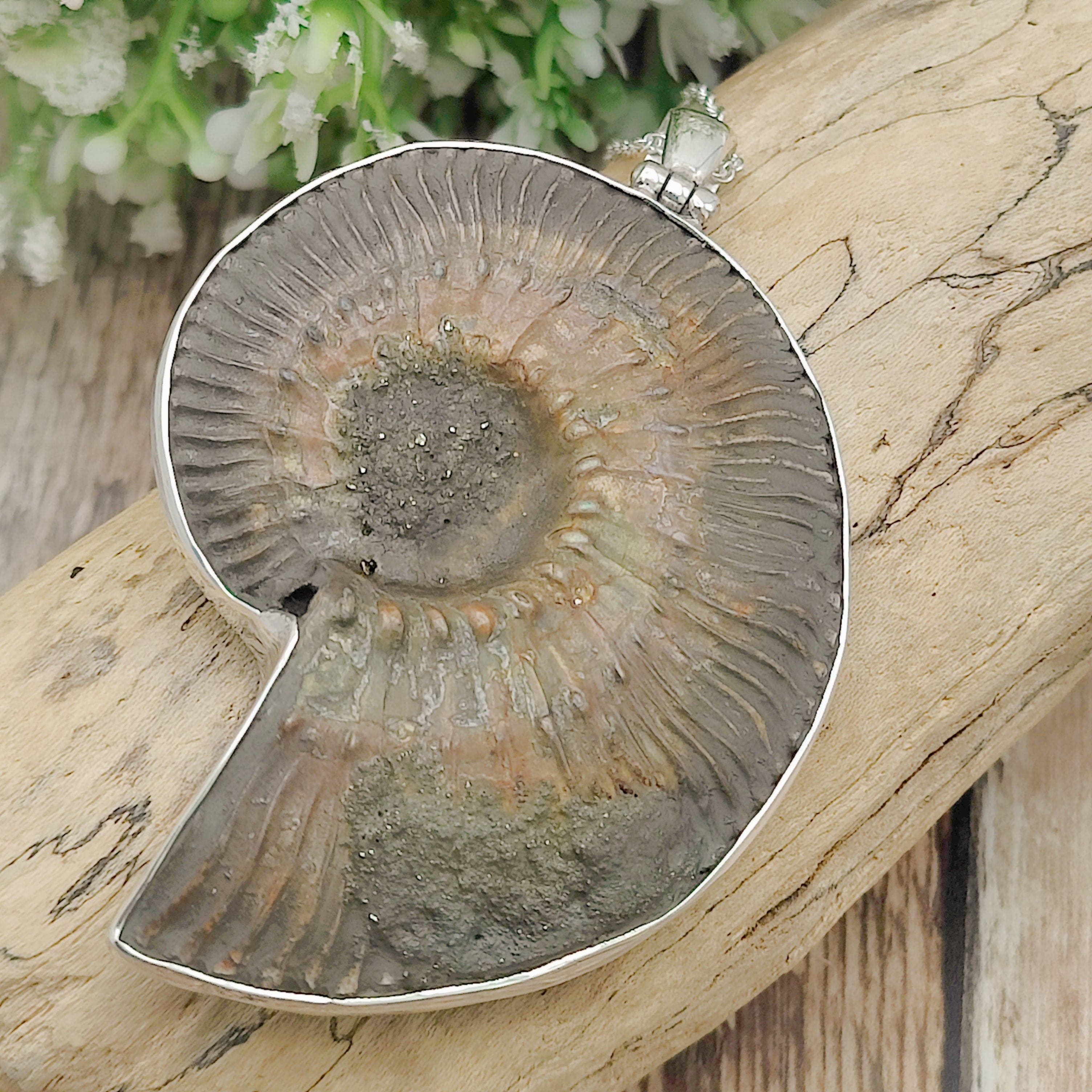 Hepburn and Hughes Pyrite Ammonite Pendant | 60mm Large Fossil Pendant | Sterling Silver
