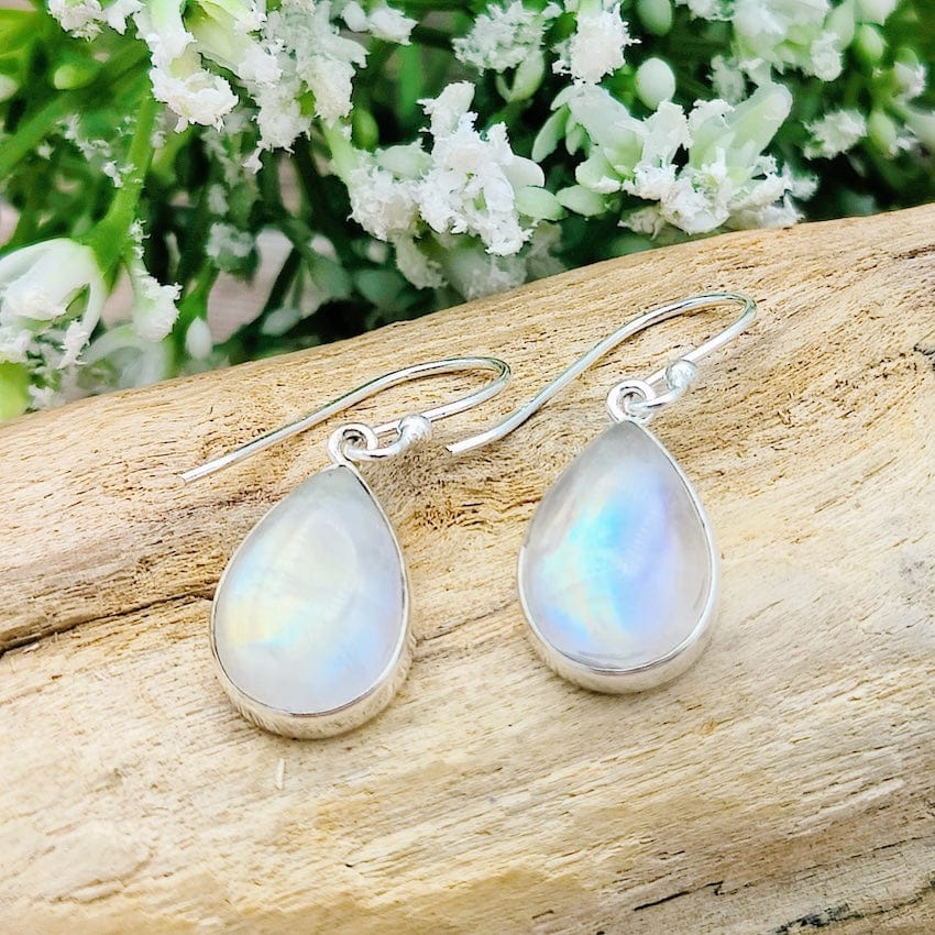 Hepburn and Hughes Rainbow Moonstone Earrings | Teardrop | Sterling Silver