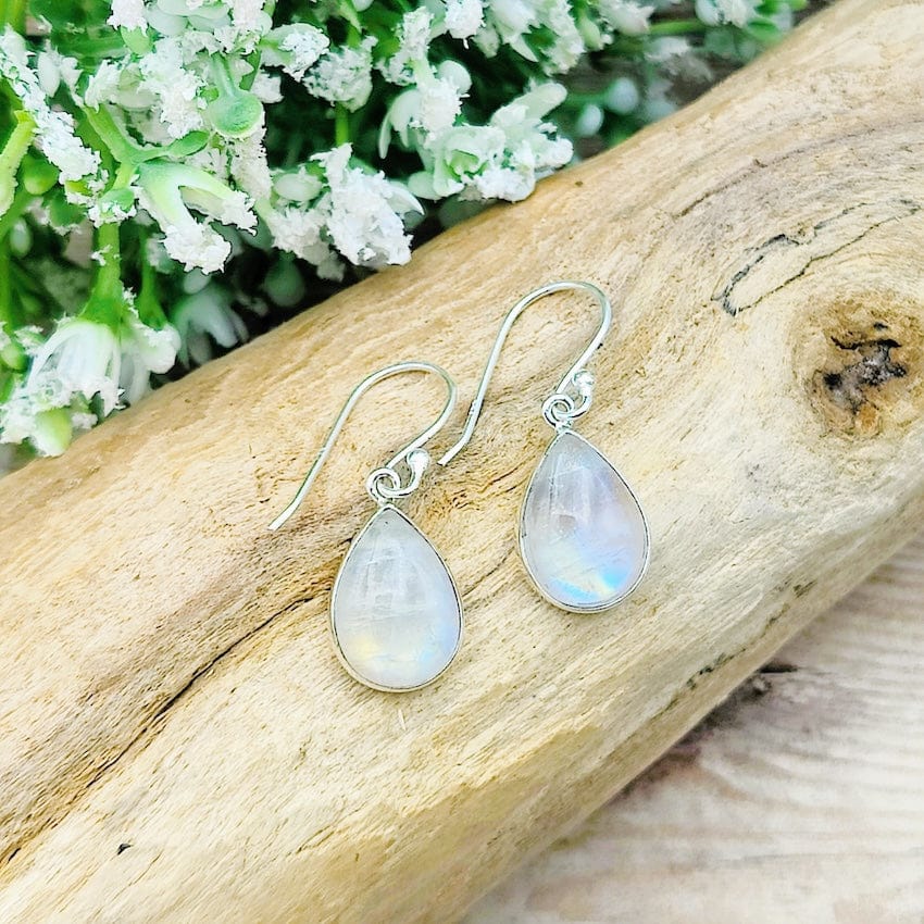 Hepburn and Hughes Rainbow Moonstone Earrings | Teardrop | Sterling Silver
