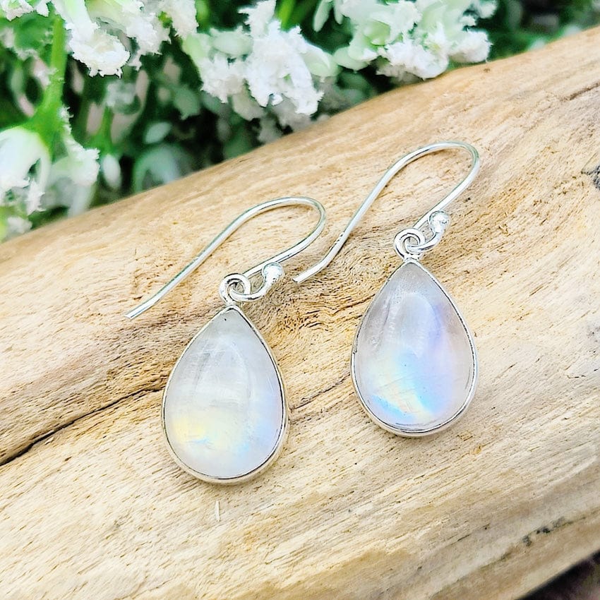 Hepburn and Hughes Rainbow Moonstone Earrings | Teardrop | Sterling Silver