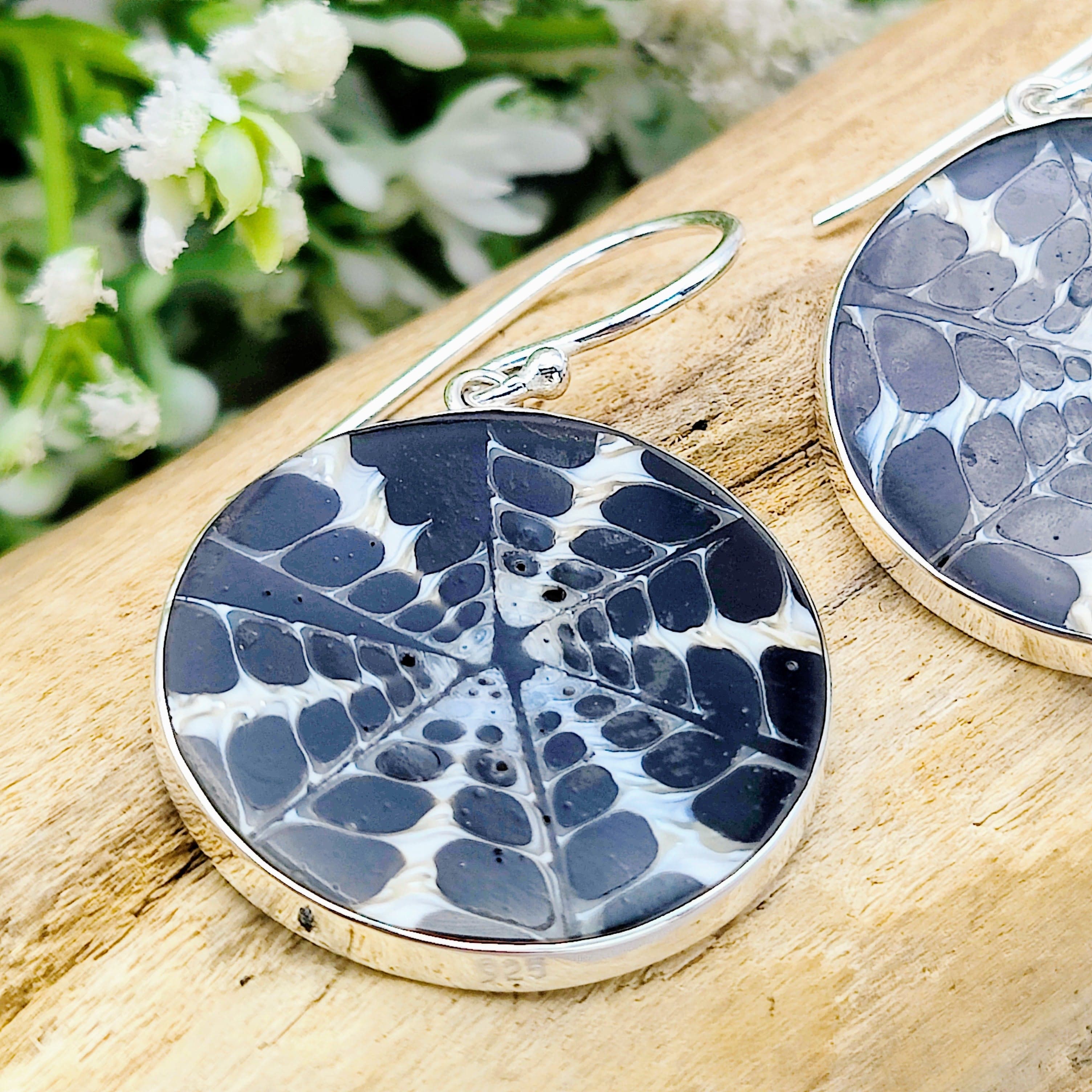 Hepburn and Hughes Seashell Earrings, Black Circle Troca in Sterling Silver