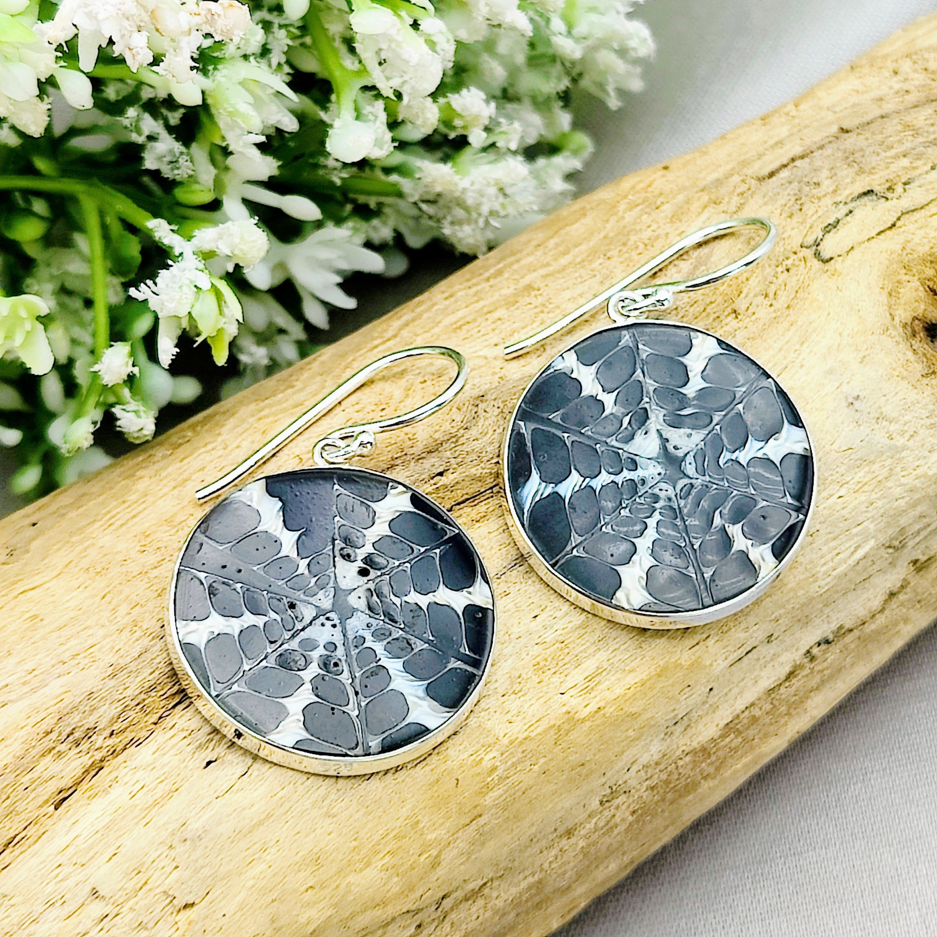Hepburn and Hughes Seashell Earrings, Black Circle Troca in Sterling Silver