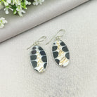 Hepburn and Hughes Seashell Earrings, Black oval Troca in Sterling Silver