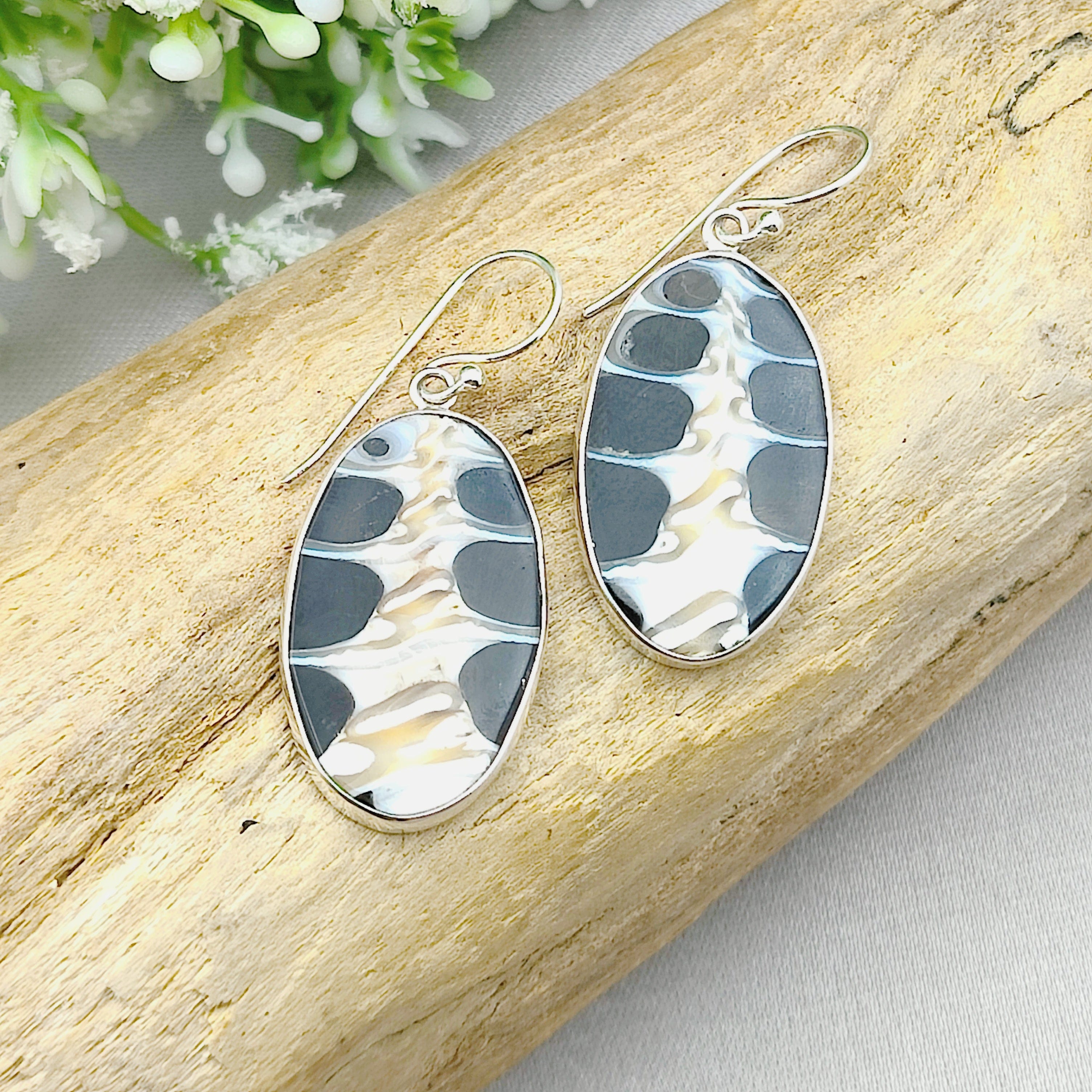 Hepburn and Hughes Seashell Earrings, Black oval Troca in Sterling Silver