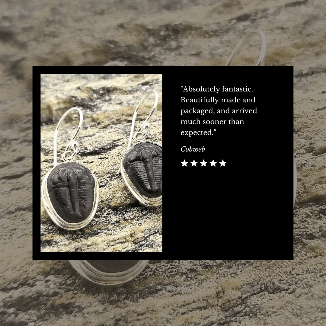 Hepburn and Hughes Small Trilobite Earrings | Drop Earrings | Sterling Silver