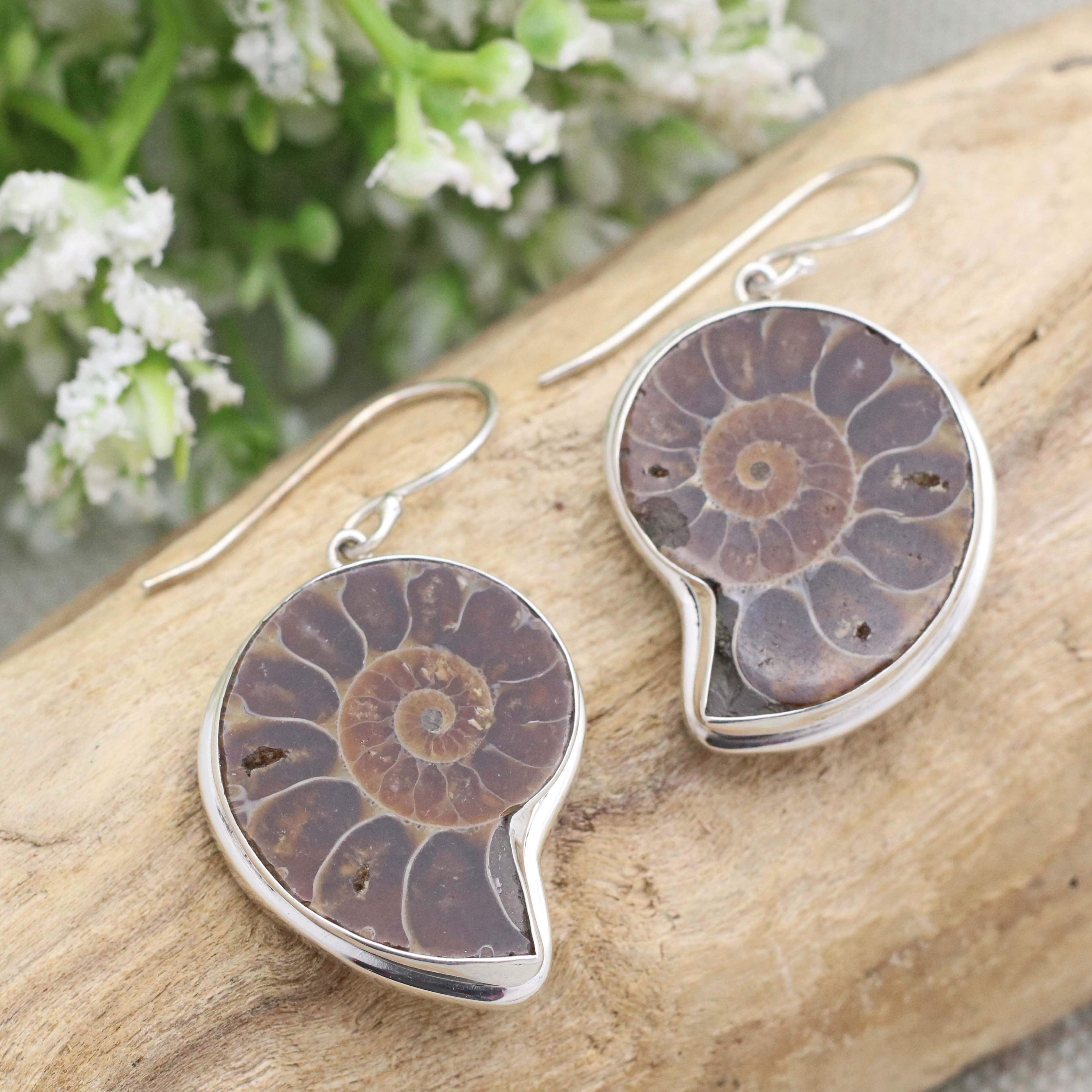 Hepburn and Hughes Ammonite Earrings, Madagascan dark tones in Sterling silver