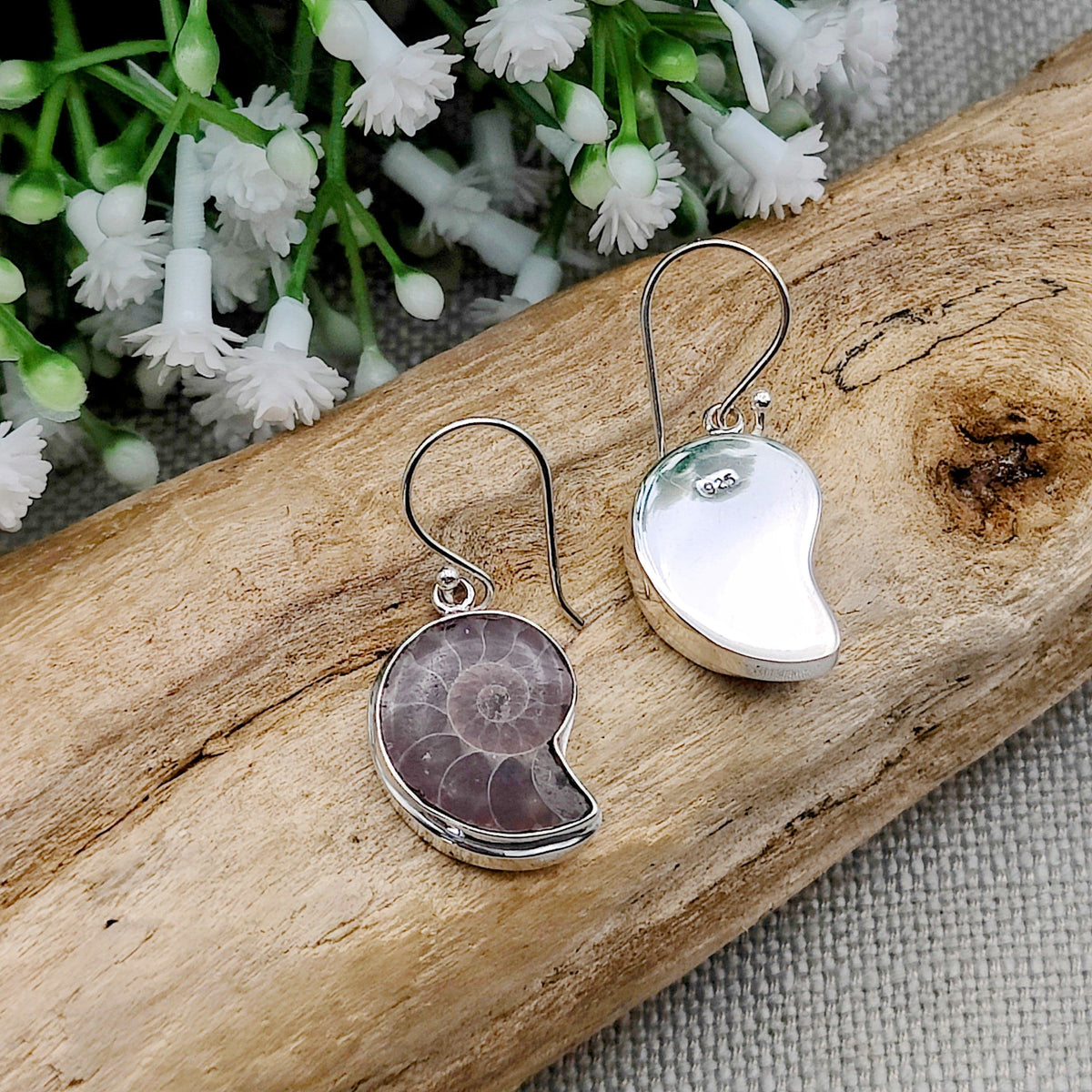 Small Ammonite Earrings | 20mm | Madagascan Fossils | Sterling Silver