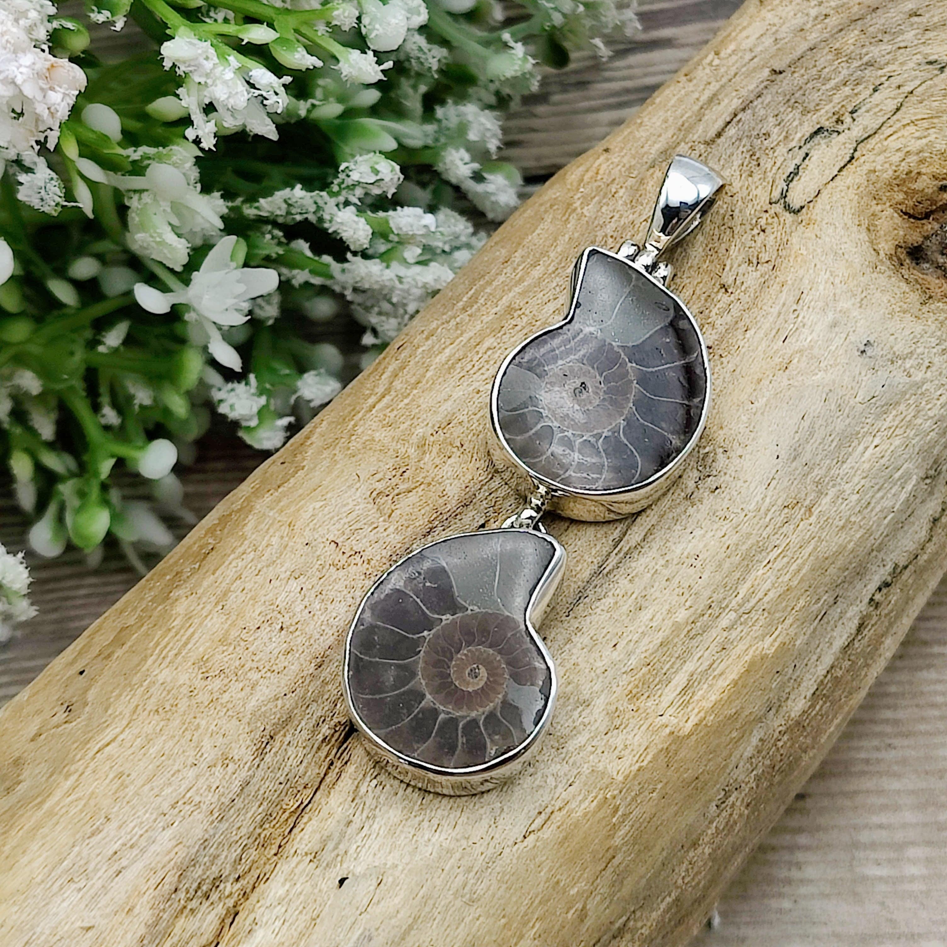 Hepburn and Hughes Ammonite Pendant, Double, Madagascan in Sterling Silver