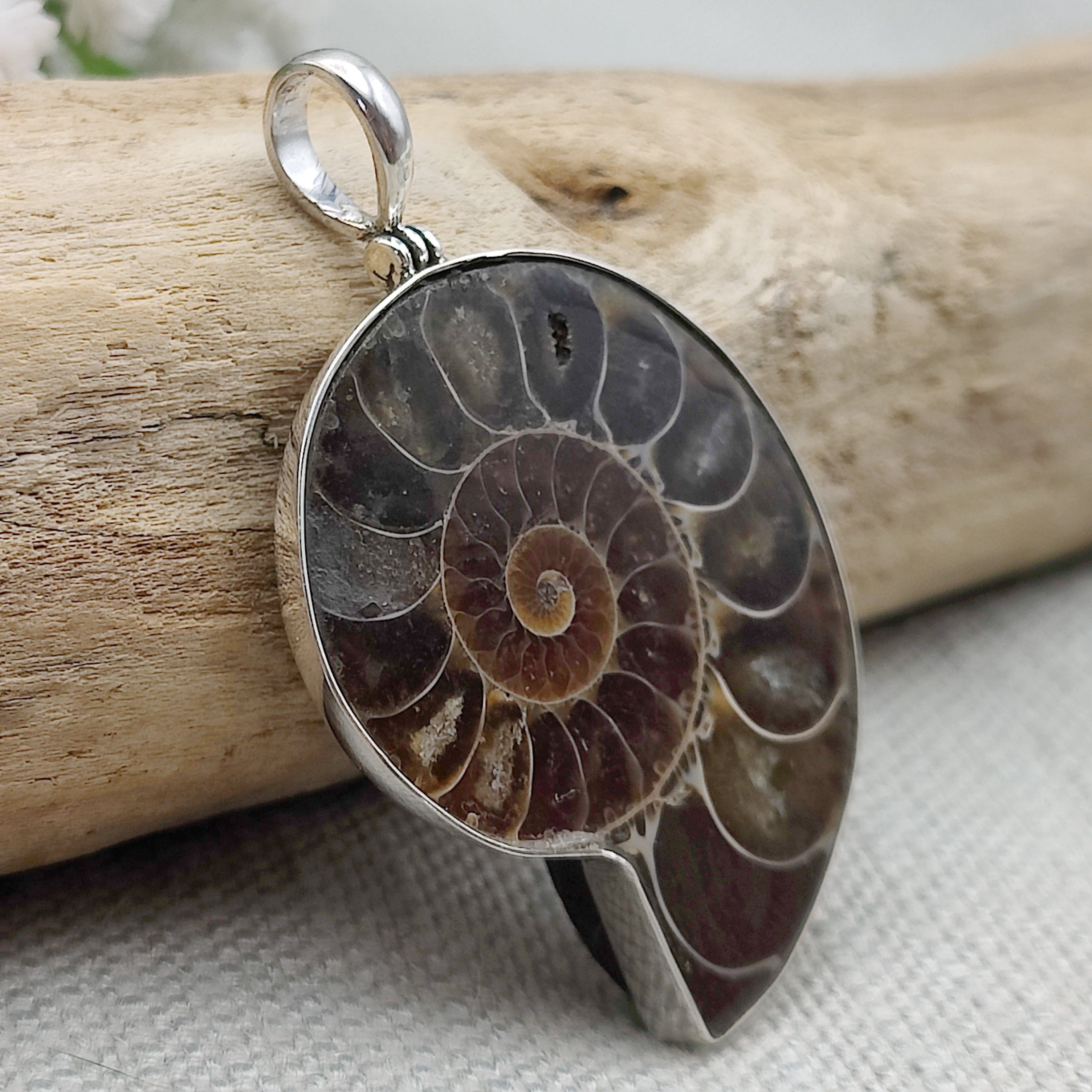 Hepburn and Hughes Ammonite Pendant, Medium Madagascan in Sterling Silver