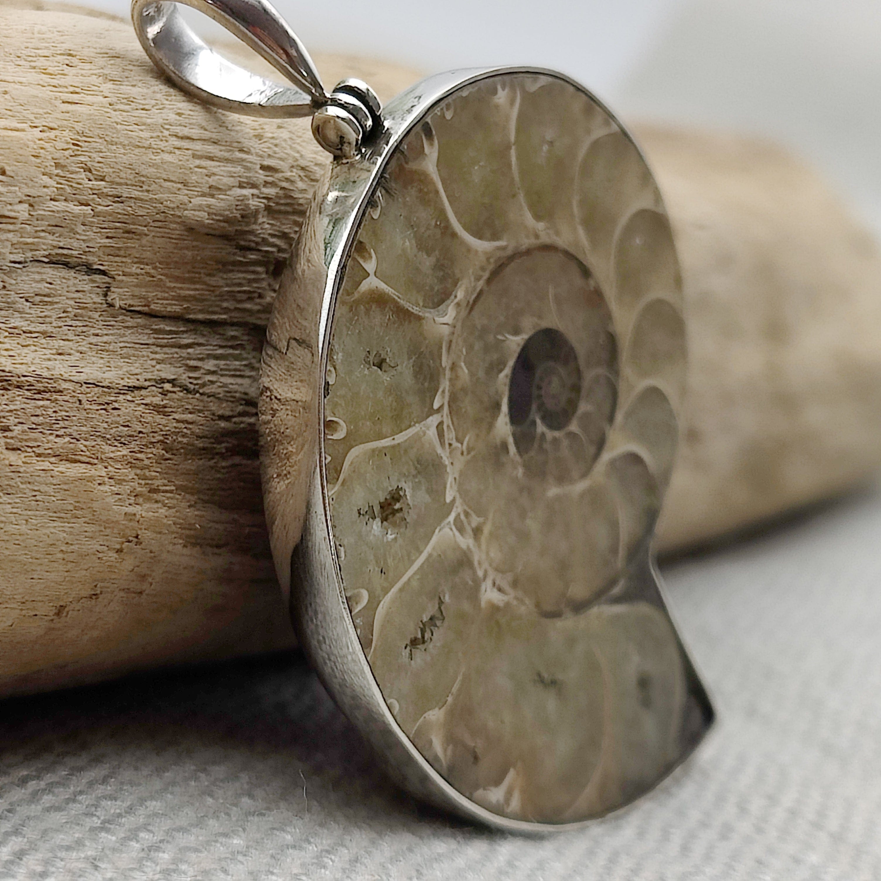 Hepburn and Hughes Ammonite Pendant, Medium Madagascan in Sterling Silver
