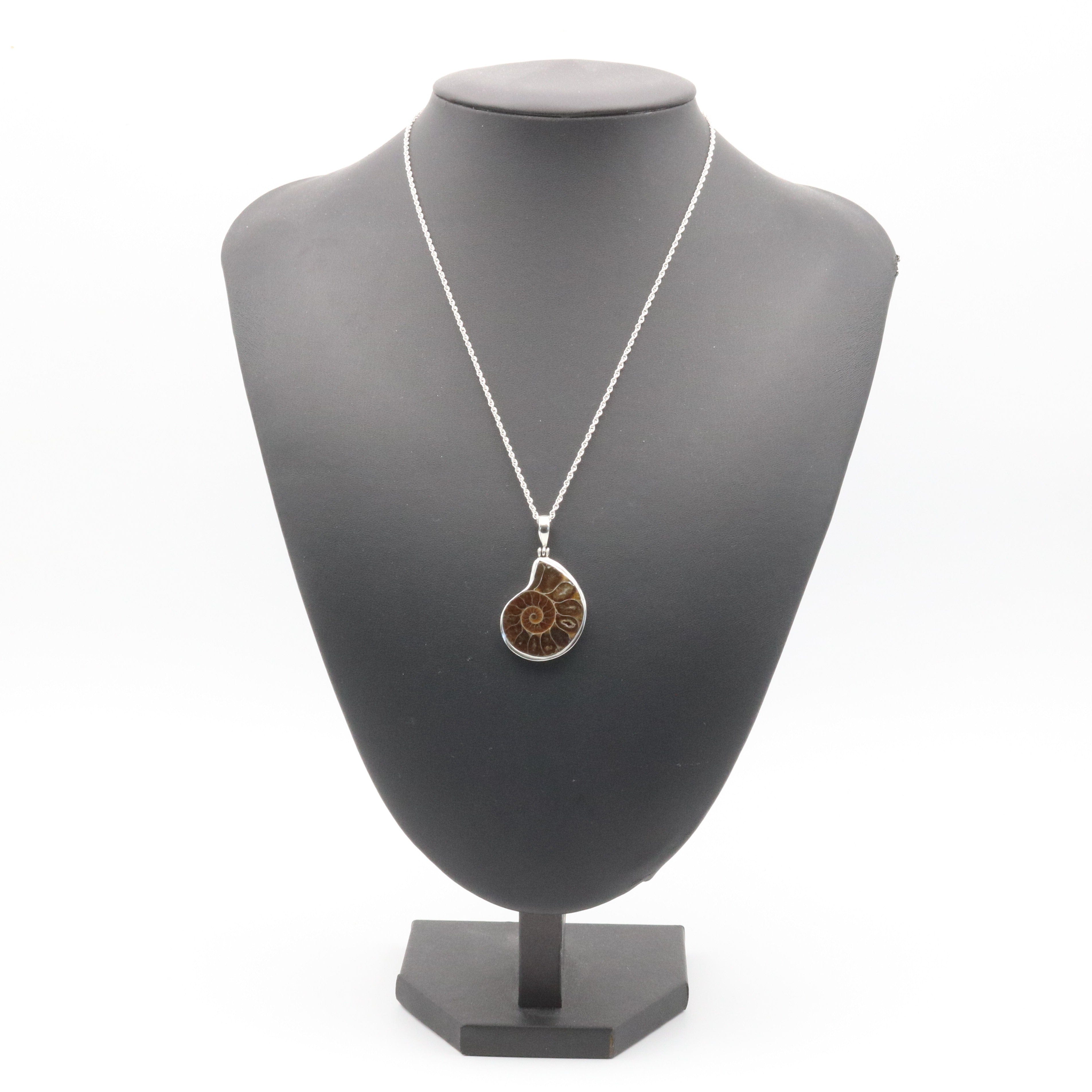 Hepburn and Hughes Ammonite Pendant, Medium Madagascan in Sterling Silver