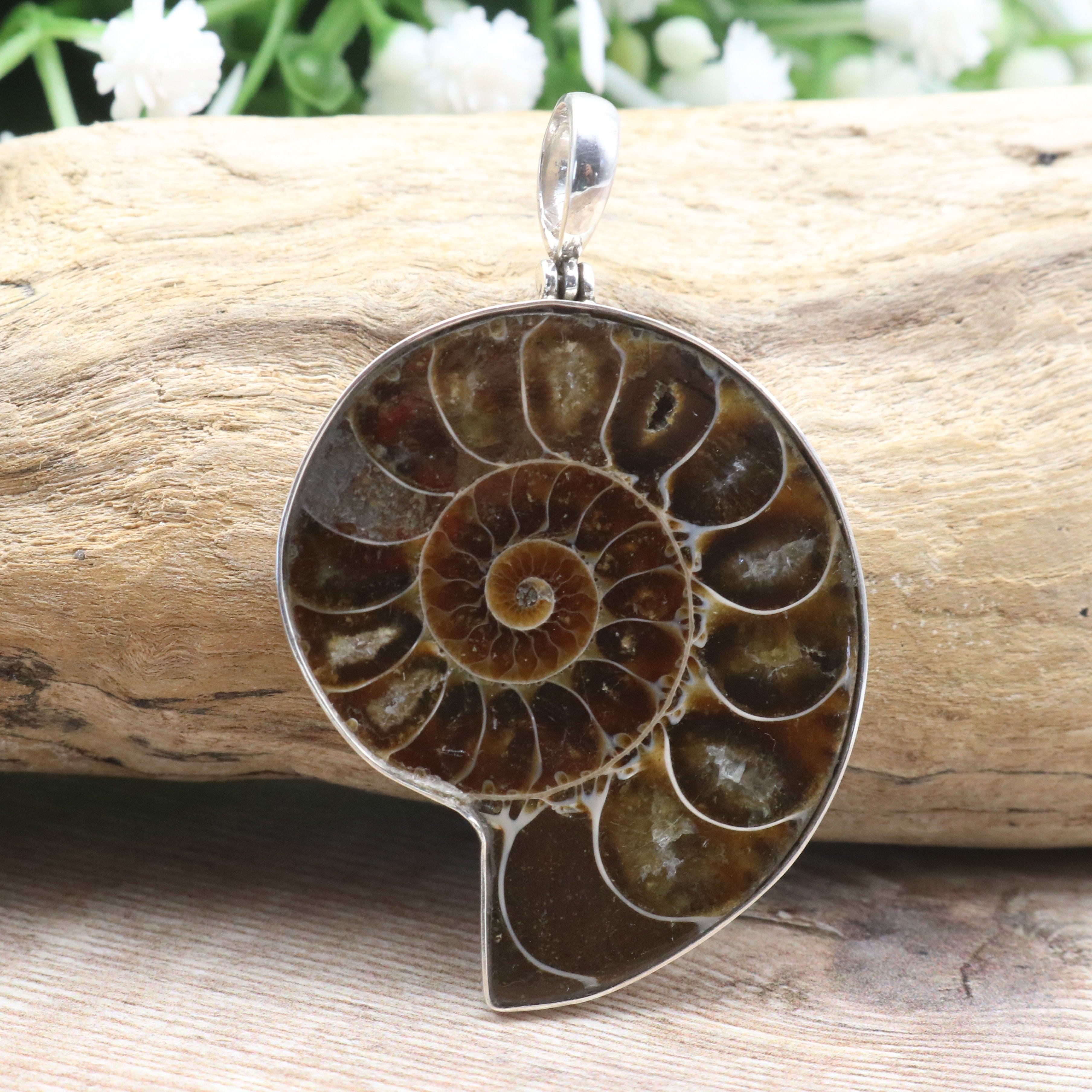 Hepburn and Hughes Ammonite Pendant, Medium Madagascan in Sterling Silver
