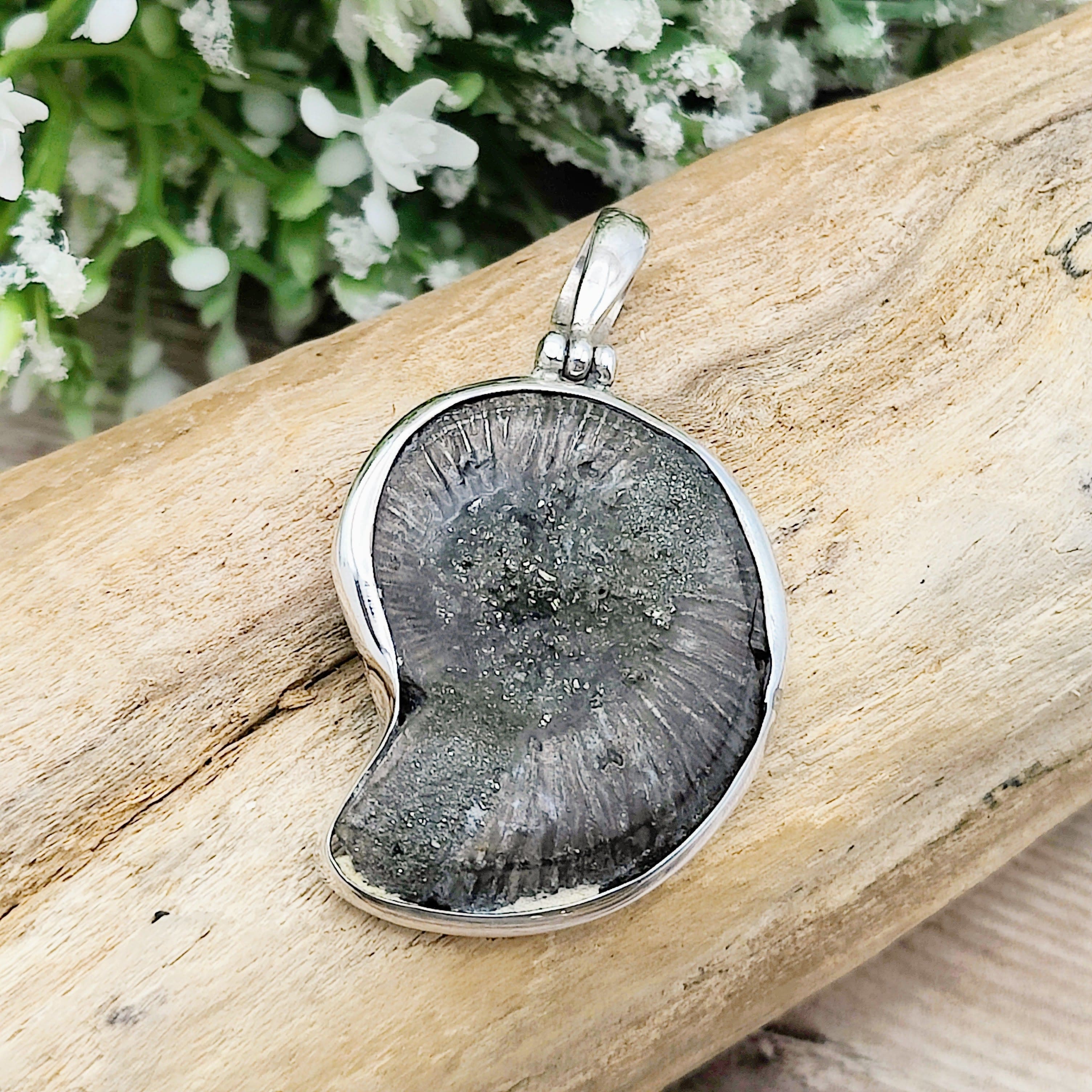 Hepburn and Hughes Ammonite Pendant | Pyrite | Sterling Silver
