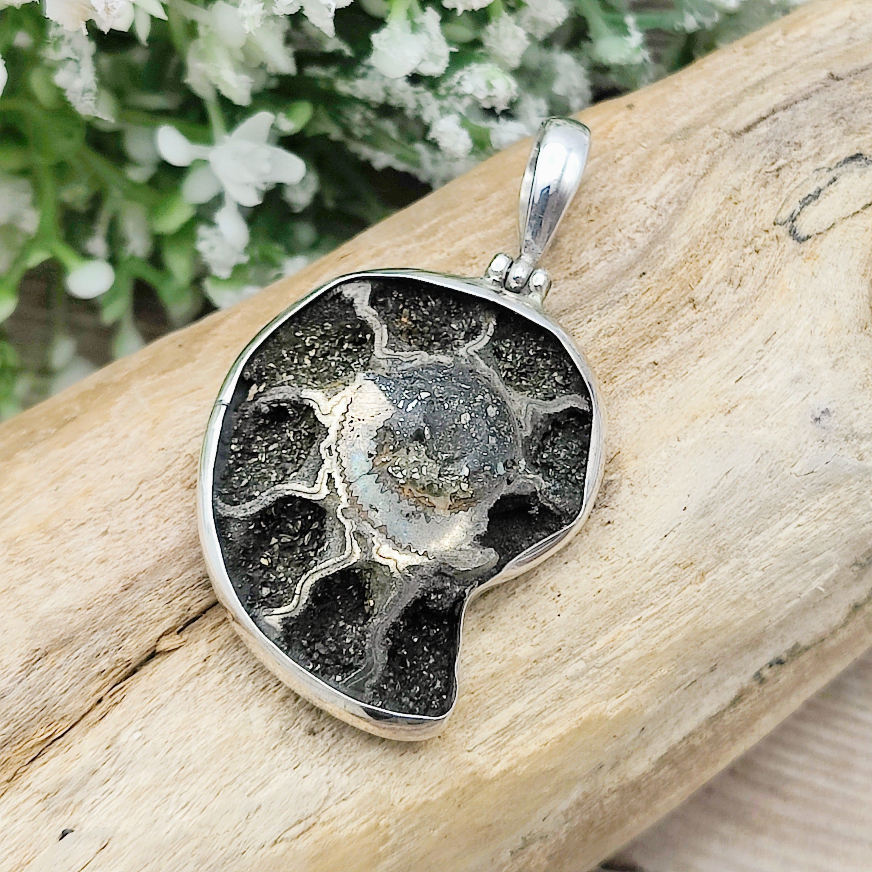 Hepburn and Hughes Ammonite Pendant | Pyrite | Sterling Silver