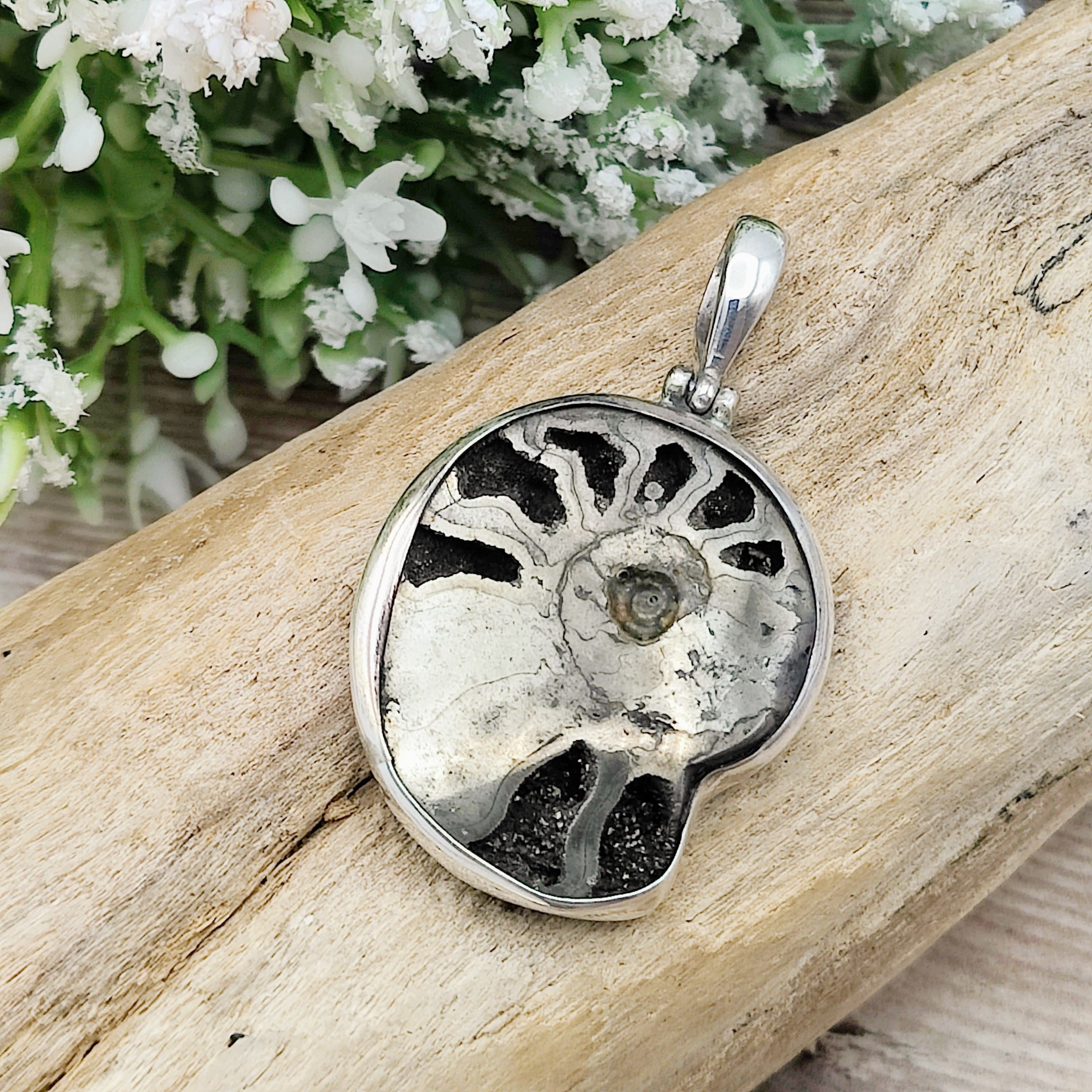 Hepburn and Hughes Ammonite Pendant | Pyrite | Sterling Silver