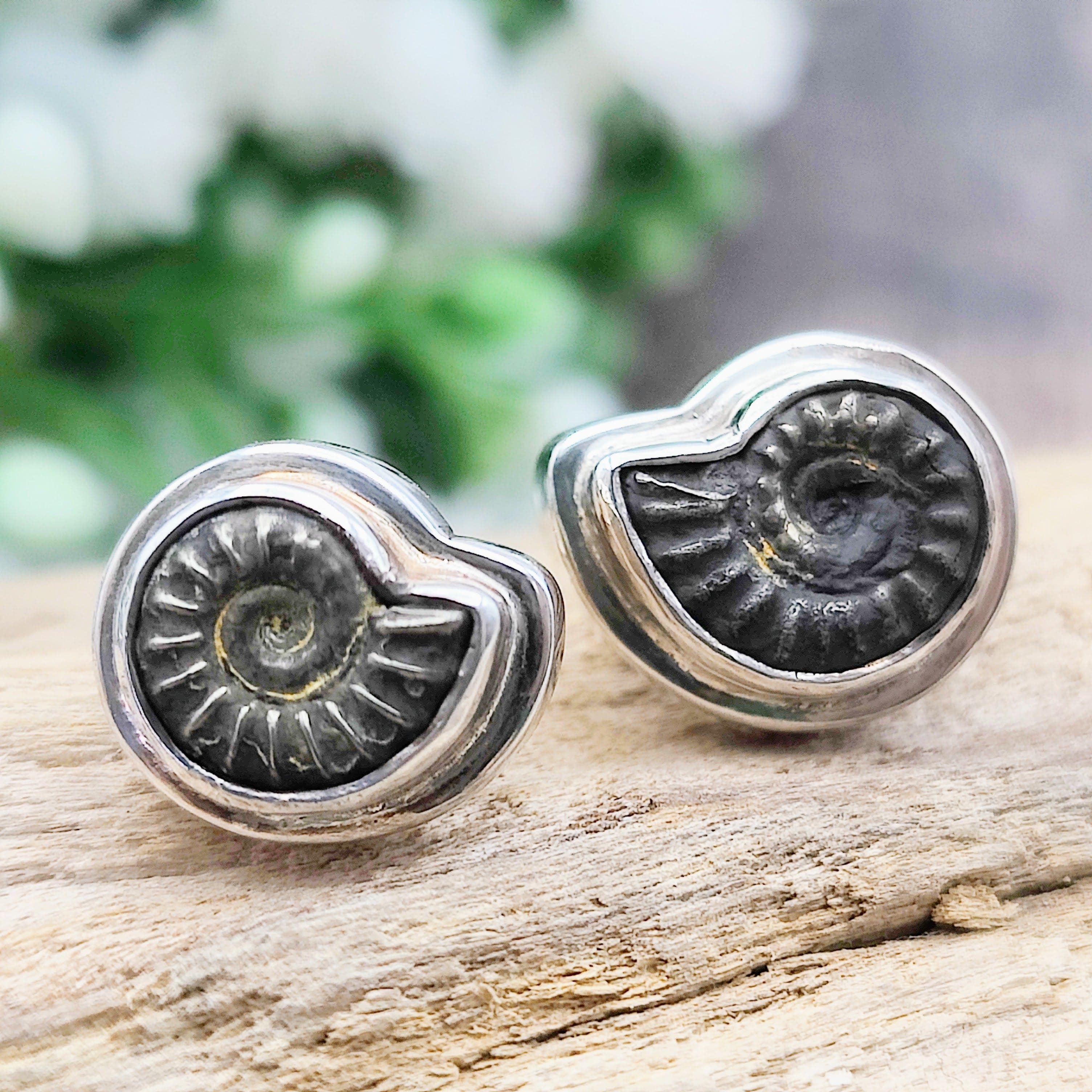 Hepburn and Hughes Ammonite Promicroceras Earrings | Fossil Earrings | Sterling Silver