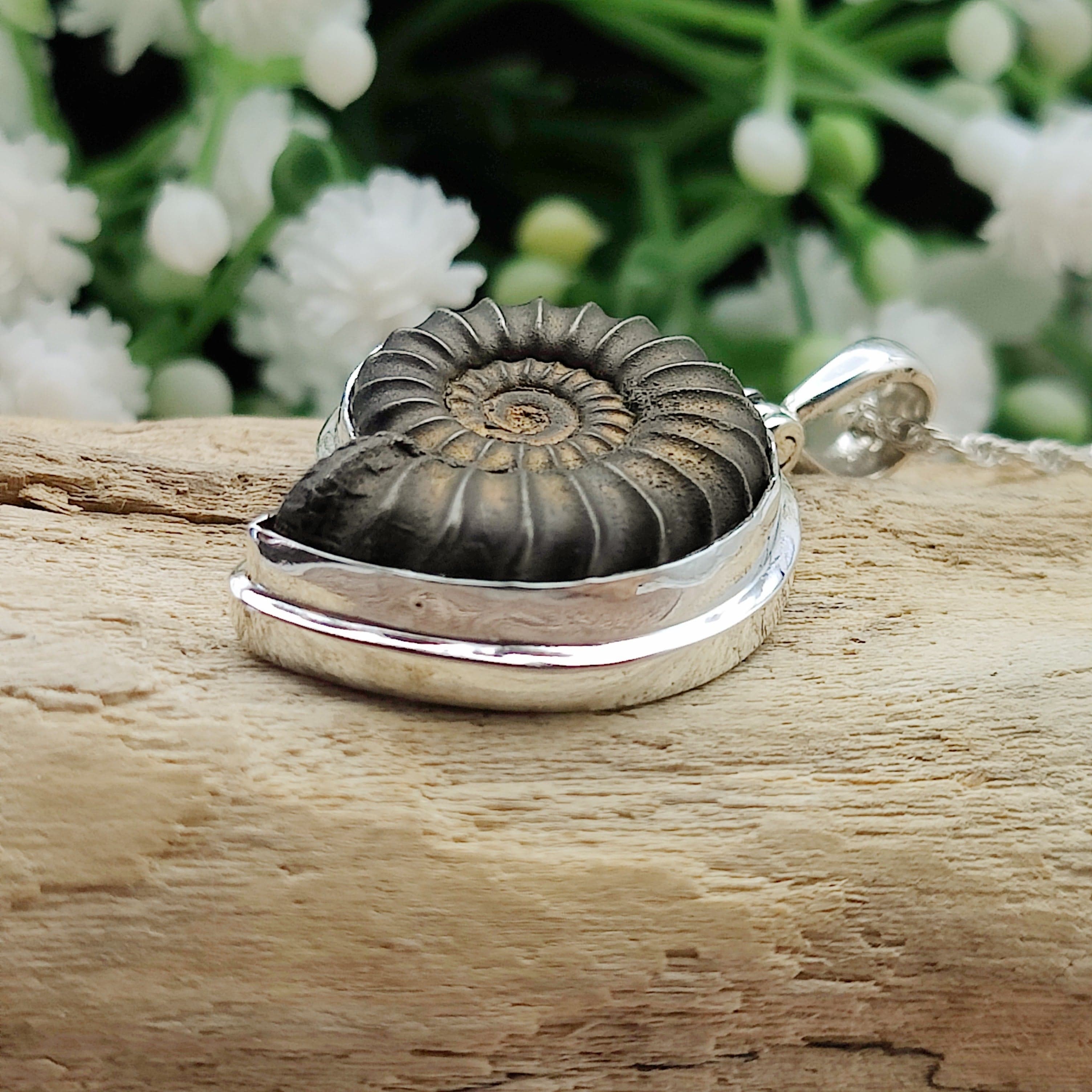 Hepburn and Hughes Ammonite Promicroceras Pendant | Fossil Necklace | Sterling Silver