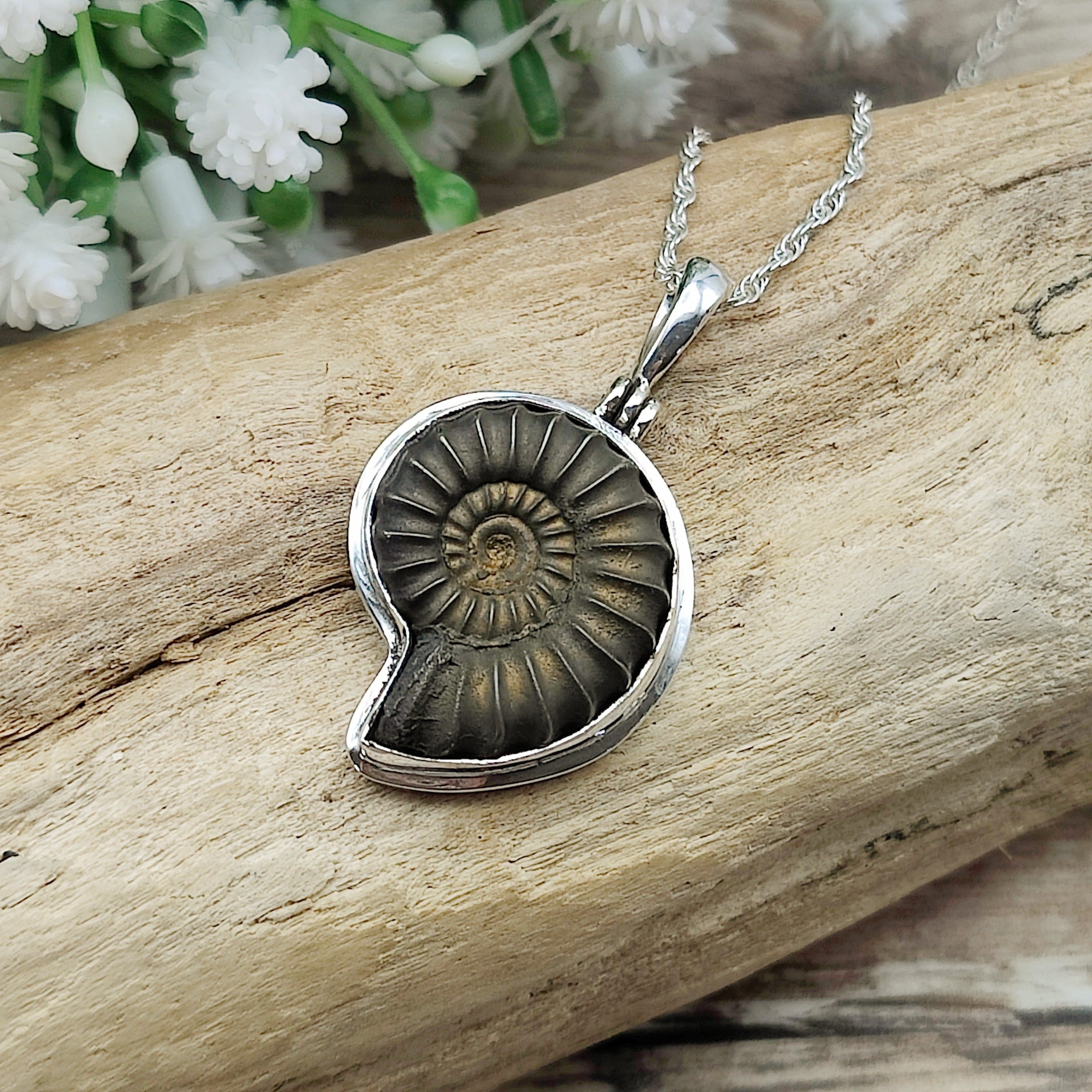Hepburn and Hughes Ammonite Promicroceras Pendant | Fossil Necklace | Sterling Silver