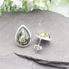 Hepburn and Hughes Baltic Green Amber Earrings, stud teardrop in Sterling Silver