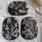 Hepburn and Hughes Fossilised Sea Creatures Cufflinks | Fossil Cufflinks | Sterling Silver