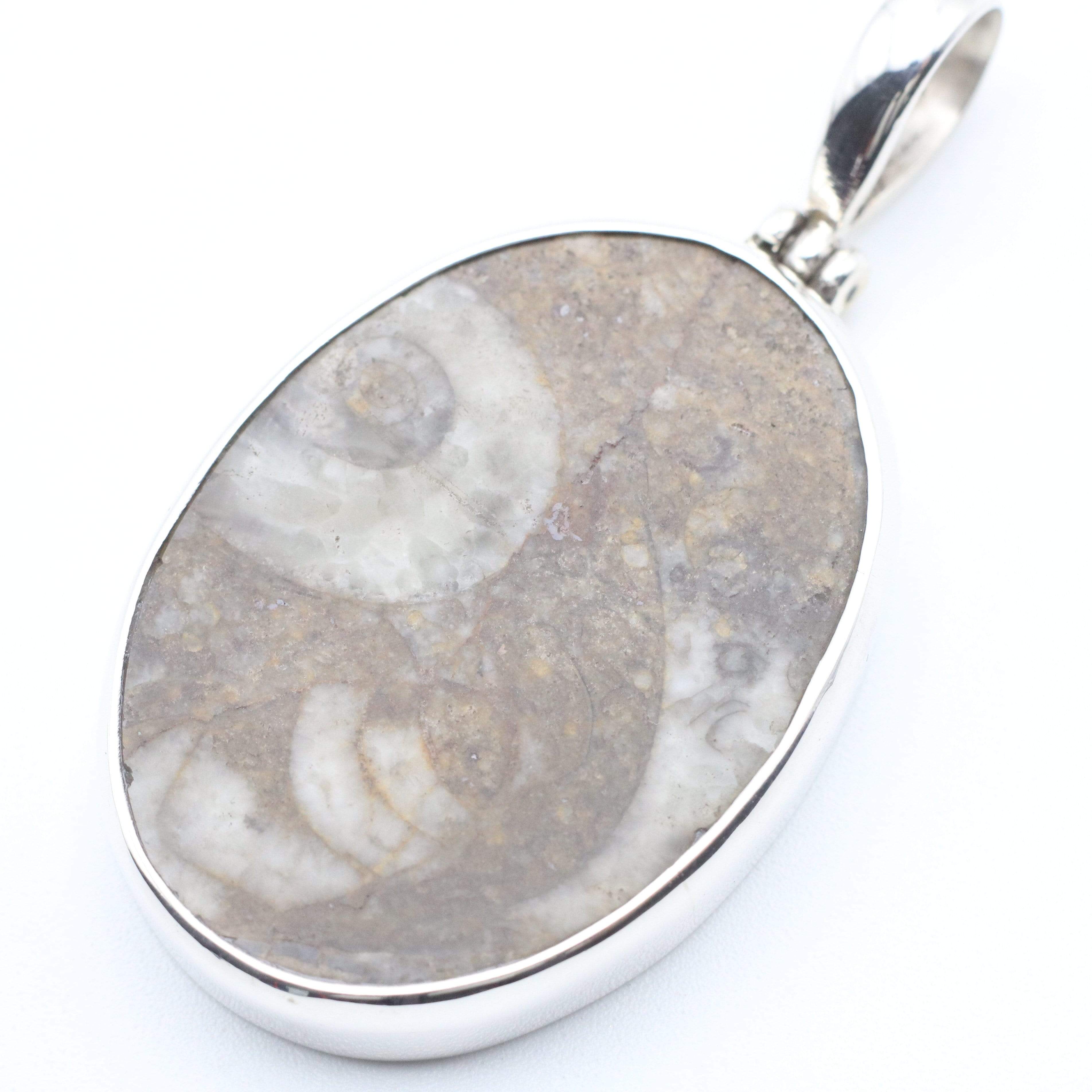 Hepburn and Hughes Fossilised Sea Creatures Pendant | Oval | Sterling Silver