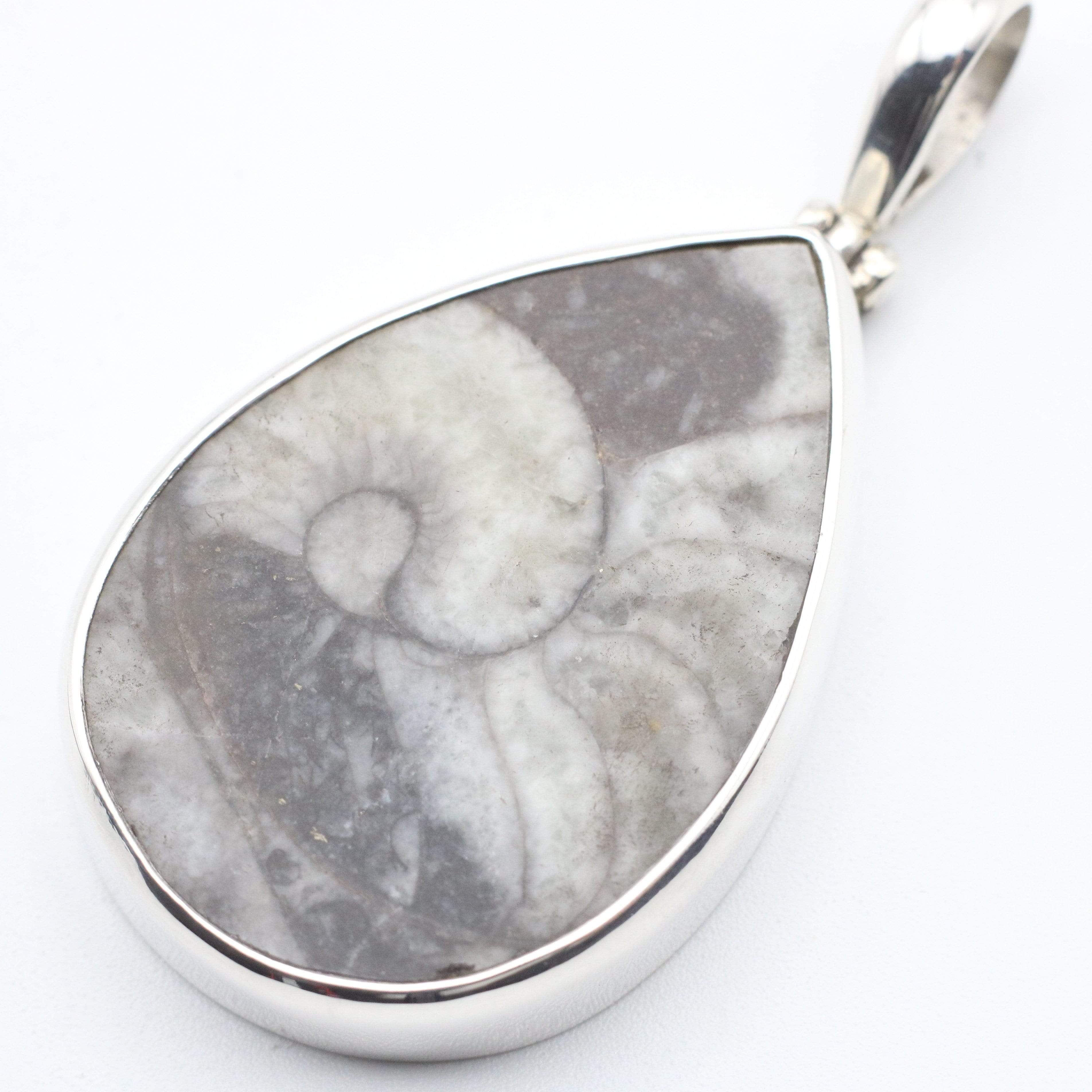 Hepburn and Hughes Fossilised Sea Creatures Pendant | Teardrop | Sterling Silver