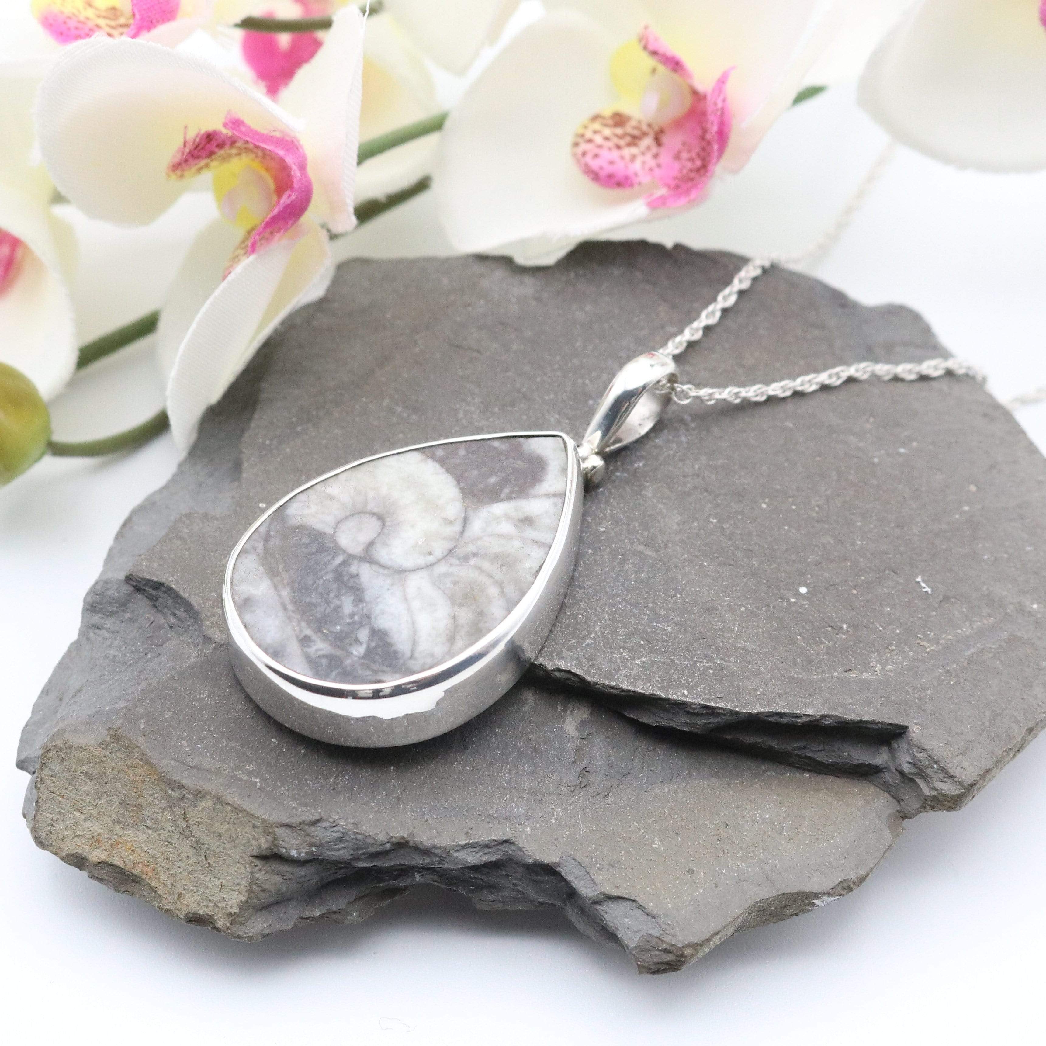Hepburn and Hughes Fossilised Sea Creatures Pendant | Teardrop | Sterling Silver