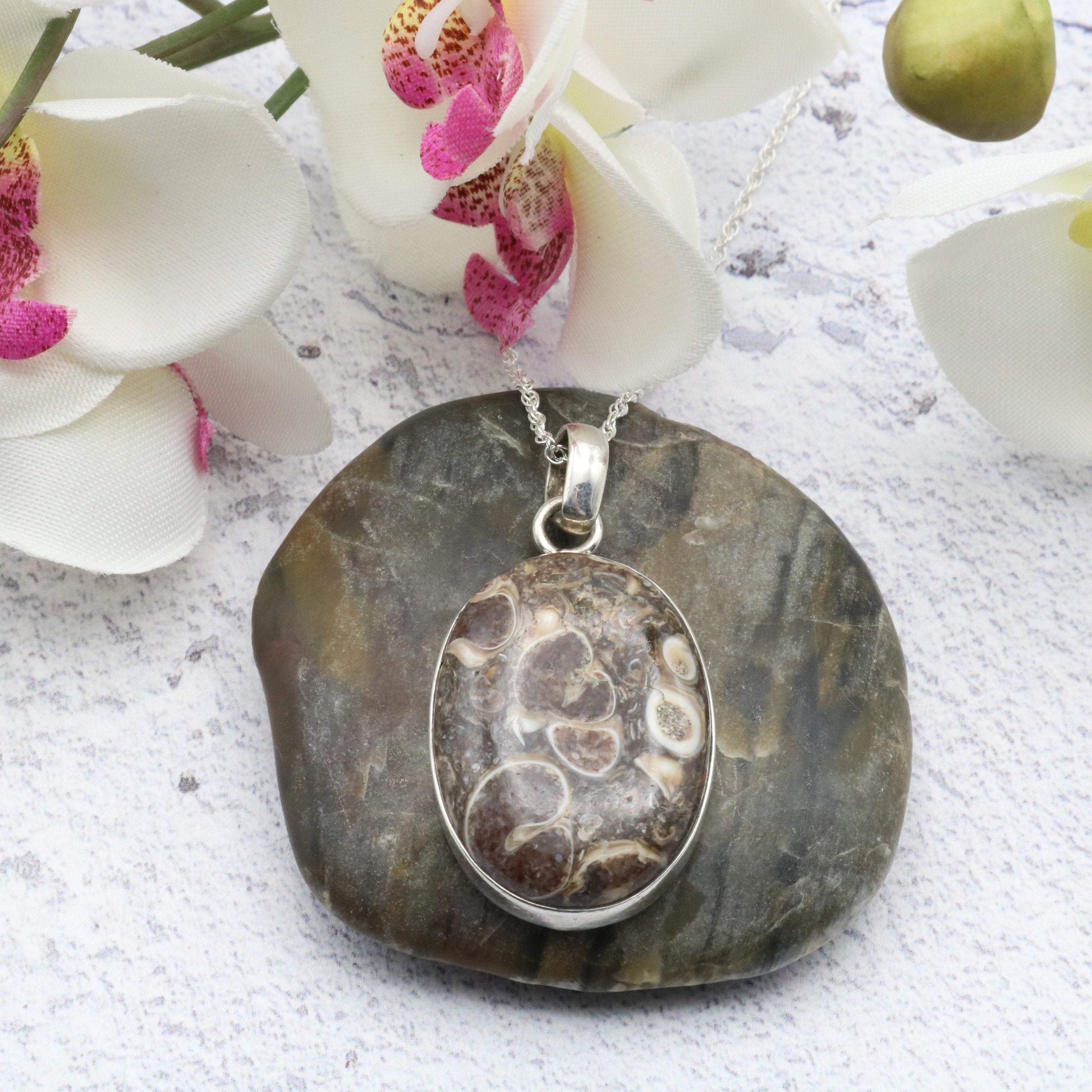 Hepburn and Hughes Fossilised Turritella Shell Pendant, Oval in Sterling Silver