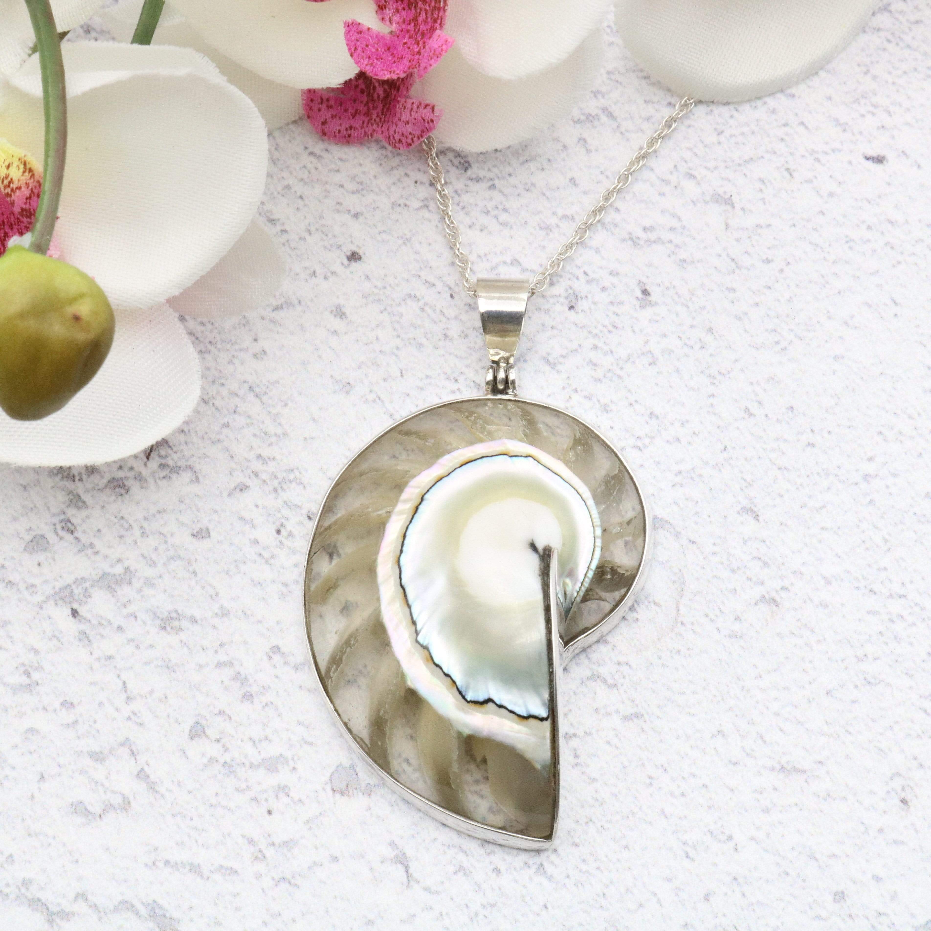 Hepburn and Hughes Nautilus Shell Pendant, small clear in Sterling Silver
