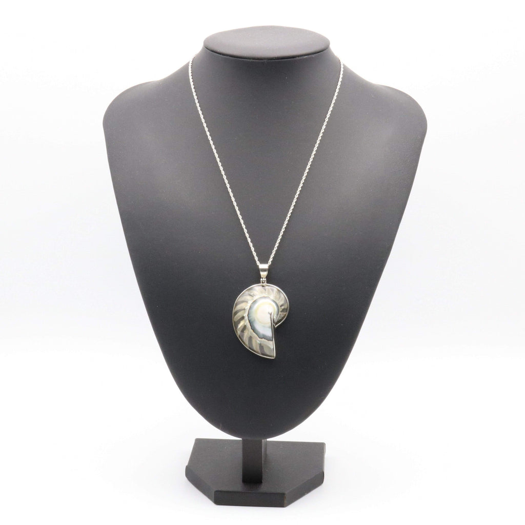 Hepburn and Hughes Nautilus Shell Pendant, small clear in Sterling Silver