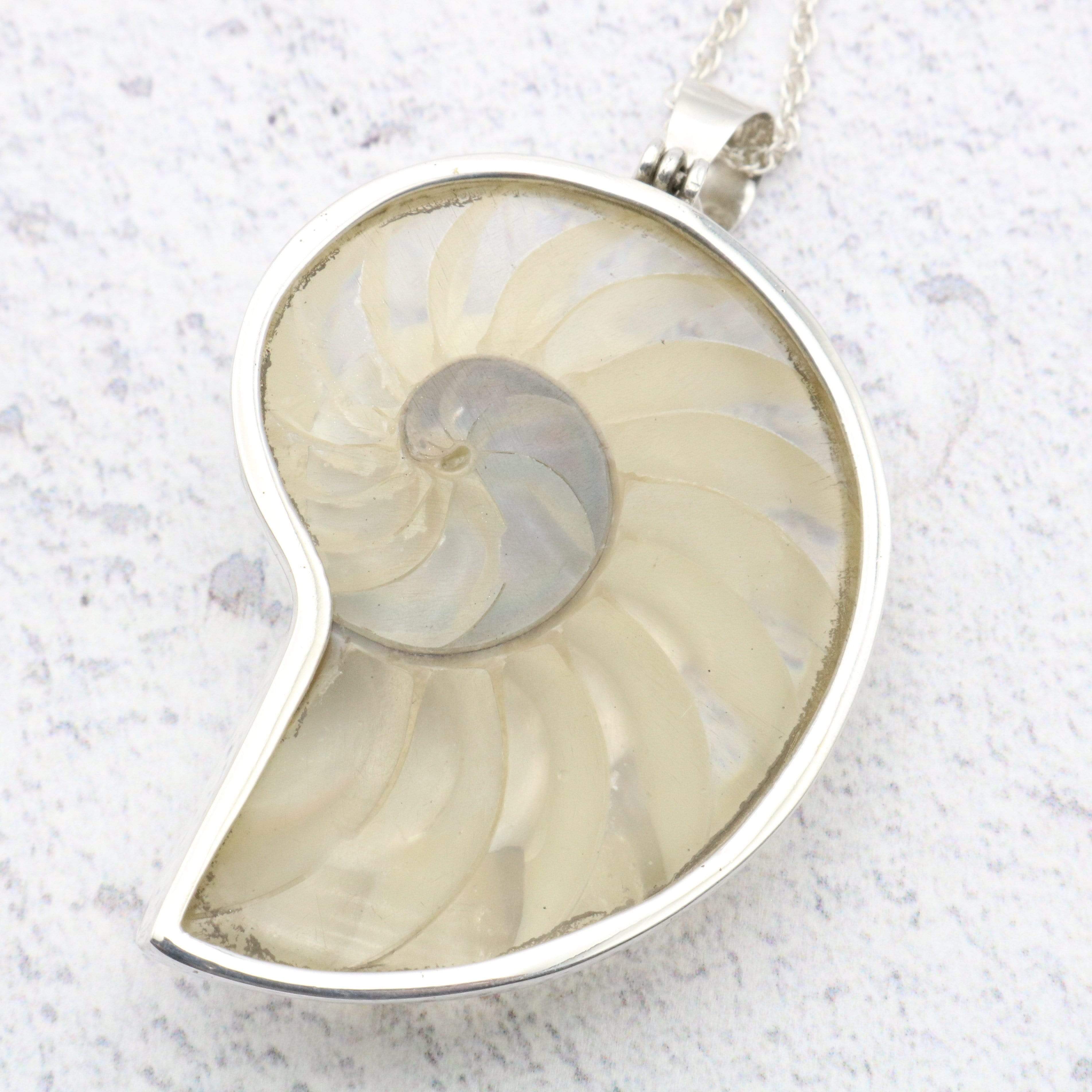 Hepburn and Hughes Nautilus Shell Pendant, small clear in Sterling Silver
